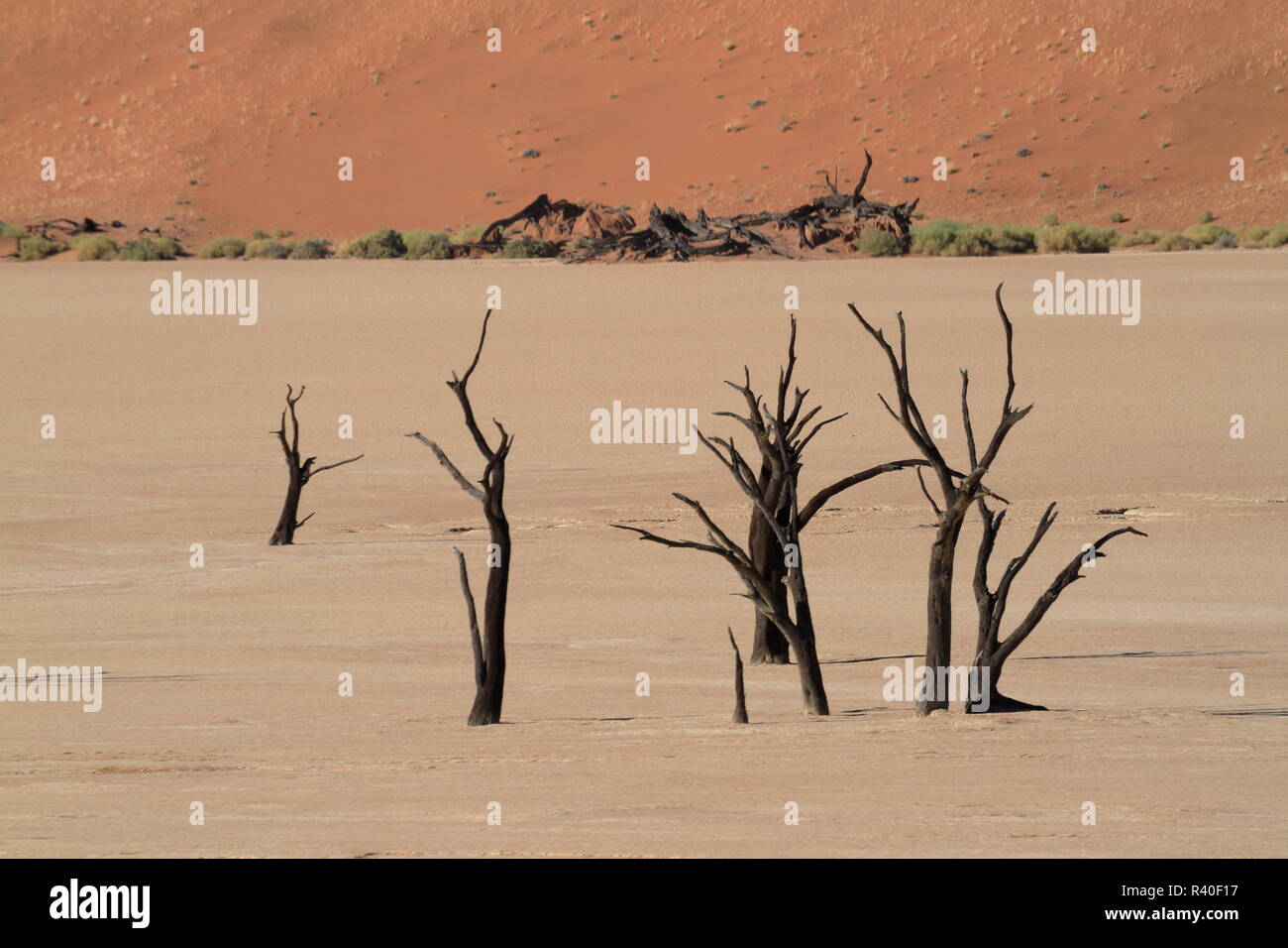 Il deserto del Namib con la deadvlei e sossusvlei in Namibia Foto Stock