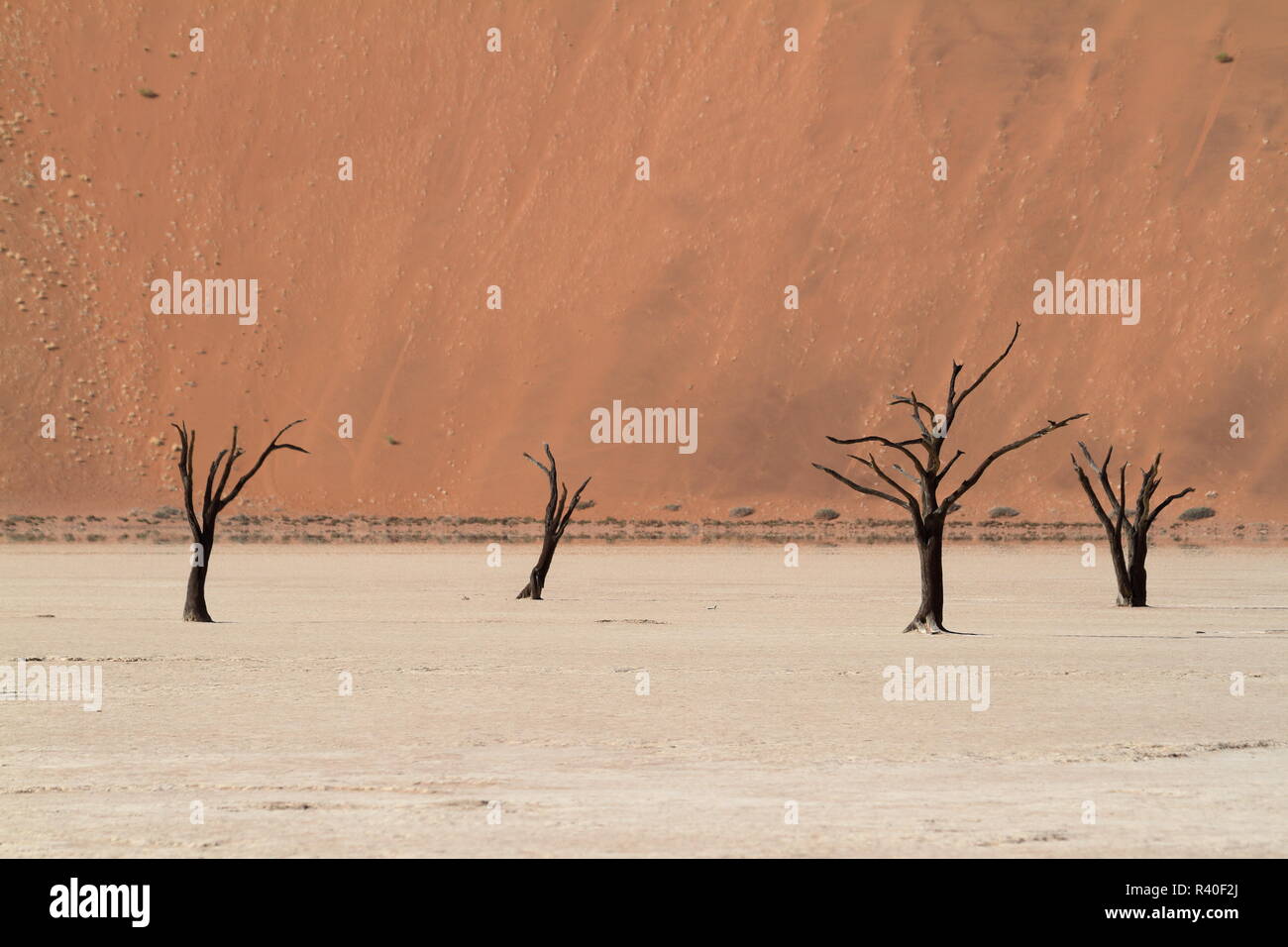 Il deserto del Namib con la deadvlei e sossusvlei in Namibia Foto Stock