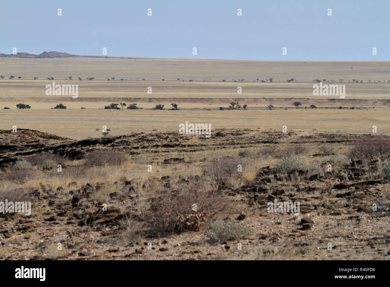 Il paesaggio del Namib Naukluft national park in Namibia Foto Stock