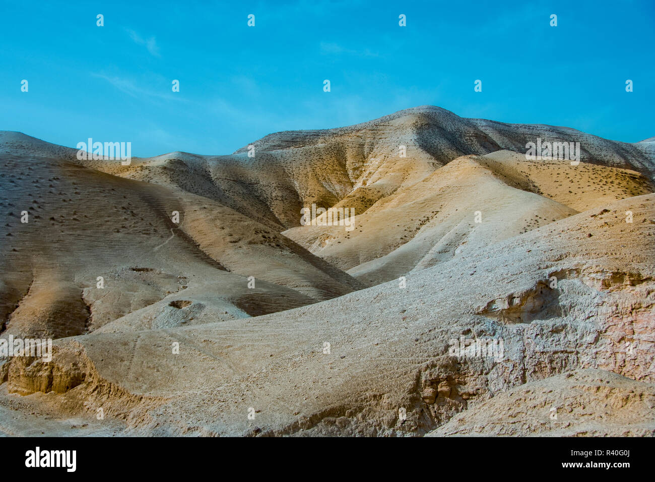 Mentre è un deserto clima , i torrenti che scorrono dalle colline della Giudea e le colline di Gerusalemme, sulla loro strada verso il Mar Morto hanno pregato cany Foto Stock