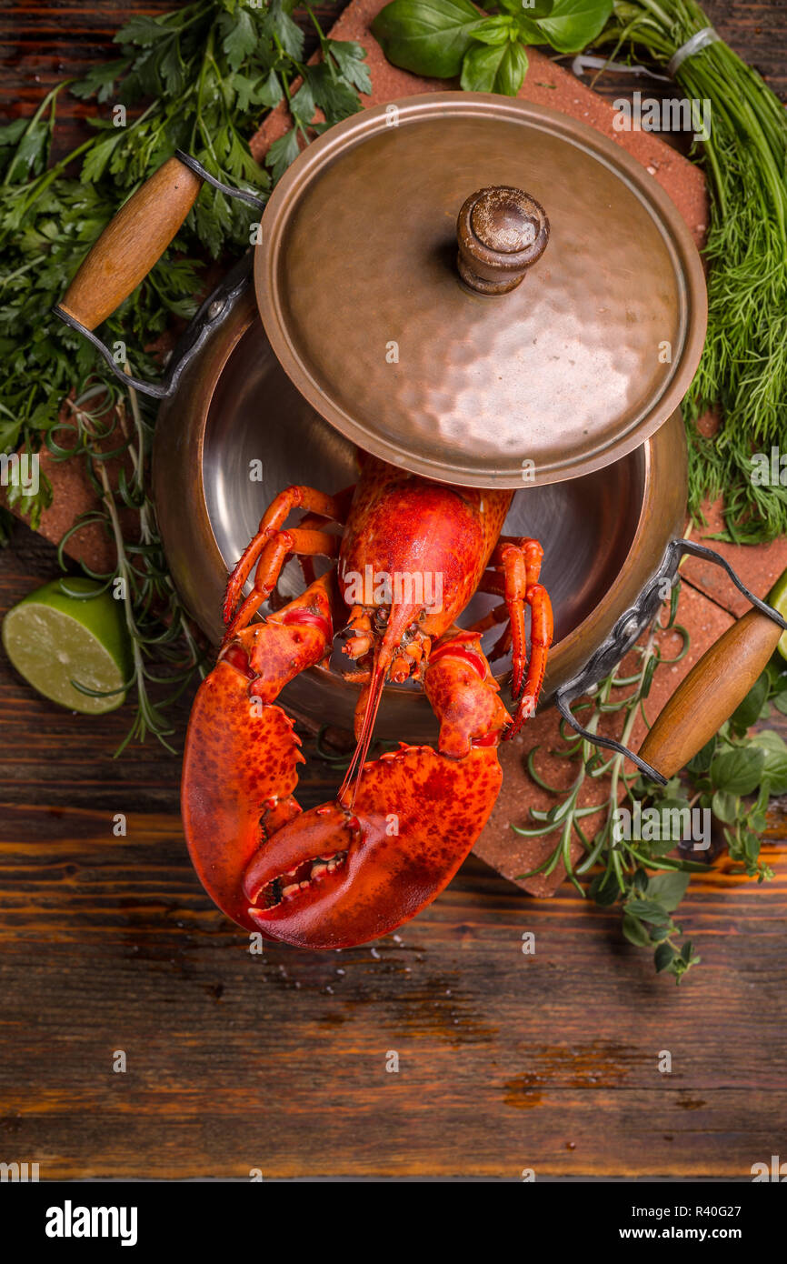 Aragosta Foto Stock
