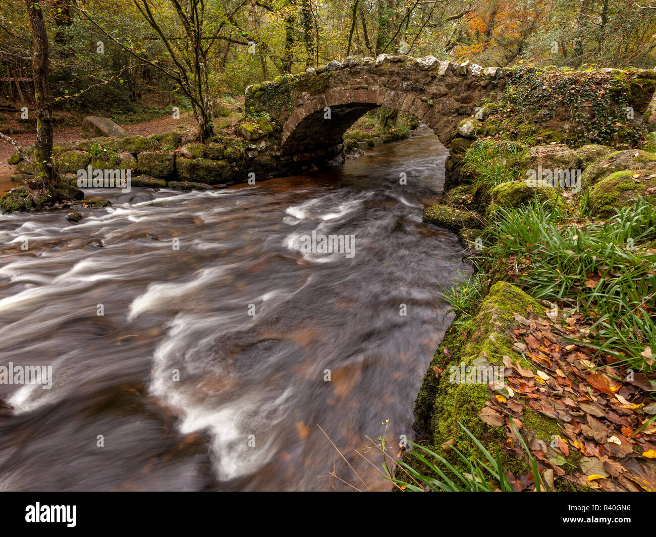 Il fiume Bovey a ponte Hisley, Parco Nazionale di Dartmoor Foto Stock