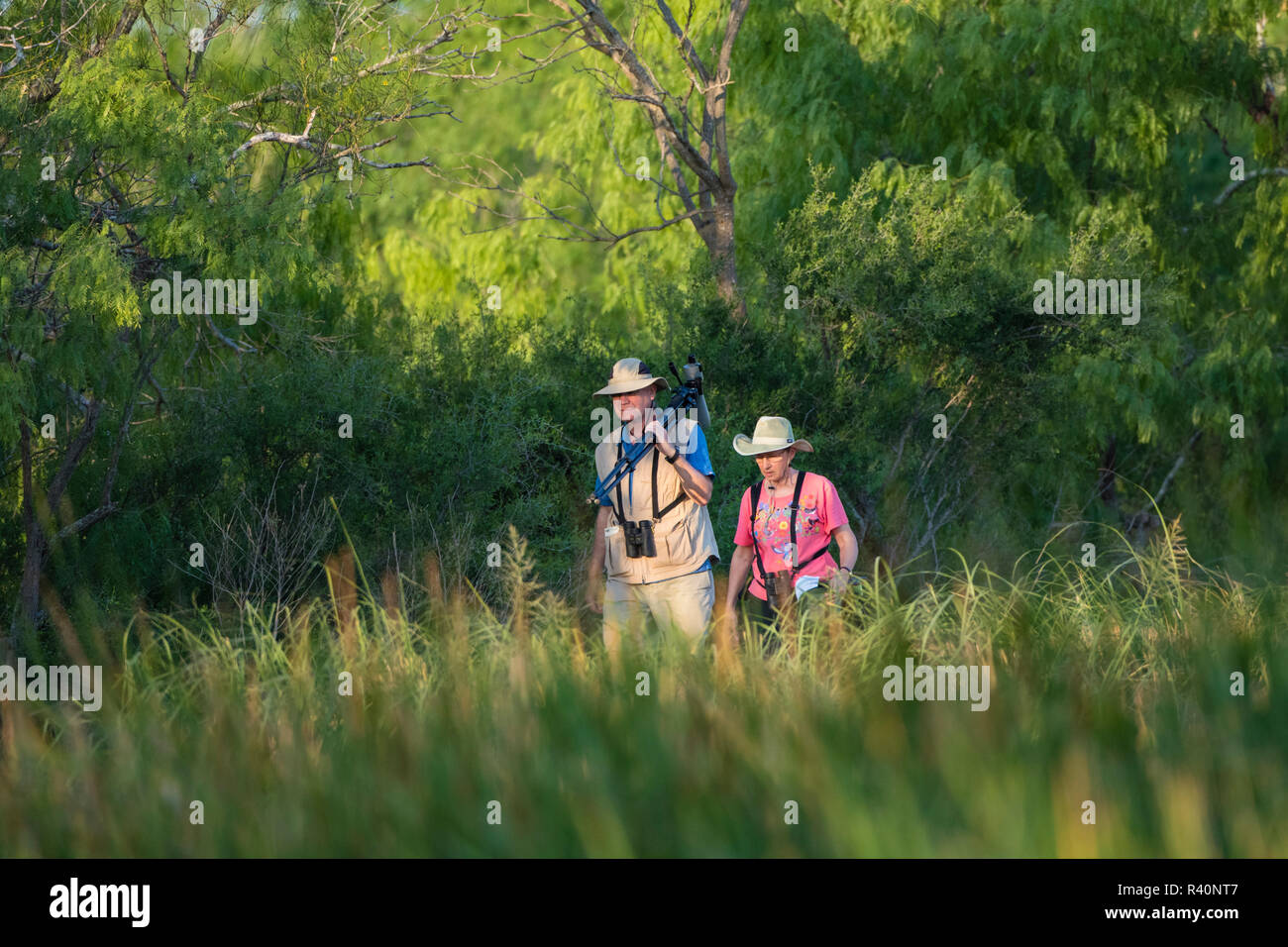 Birders sul sentiero escursionistico al parco statale (solo uso editoriale). Foto Stock