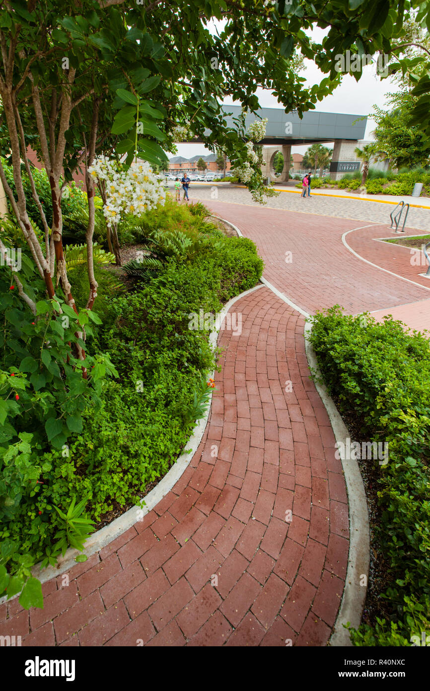 Percorso di mattoni a McAllen Texas biblioteca pubblica Foto Stock