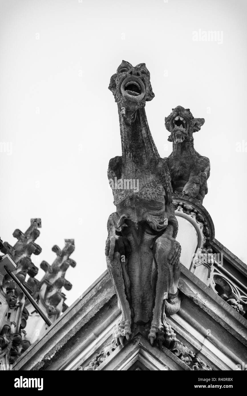 Due doccioni sembrano urlare nei tormenti alla sommità della torre d'ingresso della casa di Biltmore in Asheville, NC, Stati Uniti d'America Foto Stock