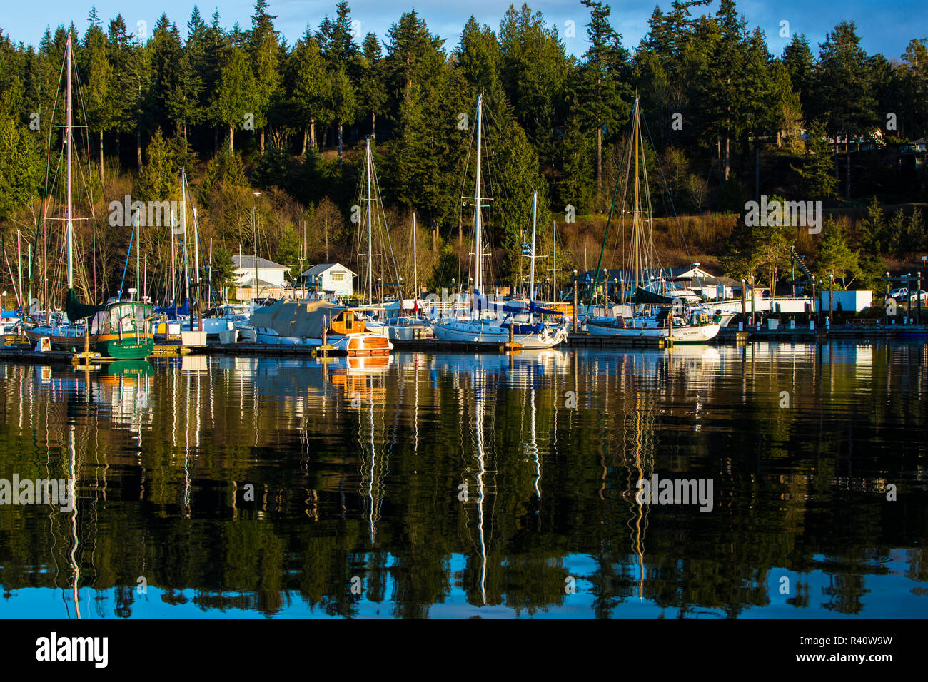 Port Ludlow, nello Stato di Washington. Splash dei riflessi di colore di alberi sempreverdi e barche colorate in acqua Foto Stock