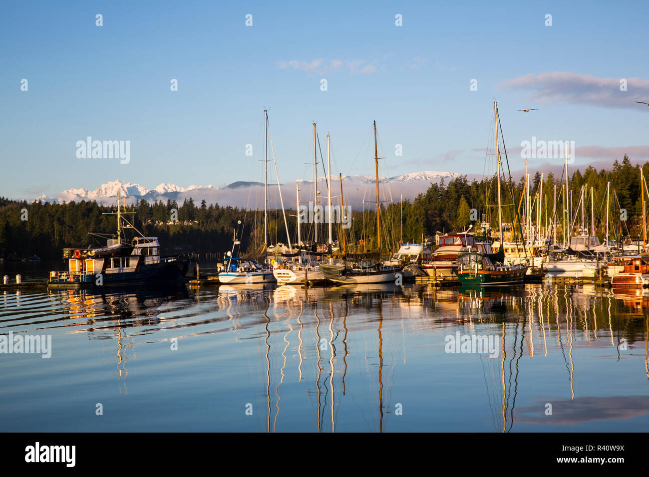 Port Ludlow, nello Stato di Washington. Mattina calda la riflessione della luce di barche in marina, un gabbiano, e le montagne con la nebbia Foto Stock