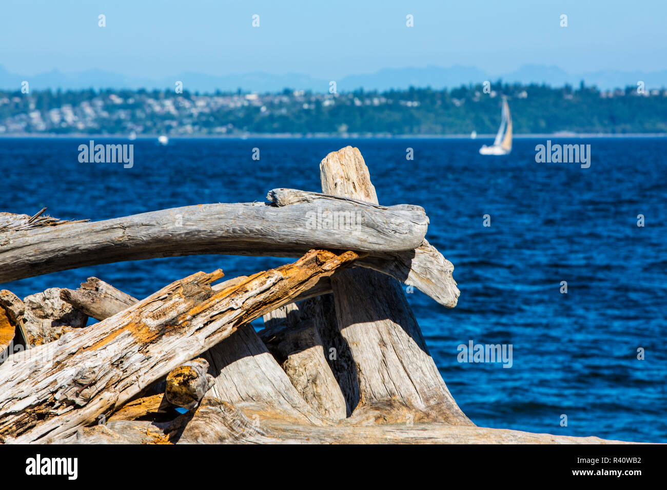 Fay Bainbridge Park, Bainbridge Island, nello Stato di Washington. Gnarly driftwood facce Puget Sound e una barca a vela Foto Stock
