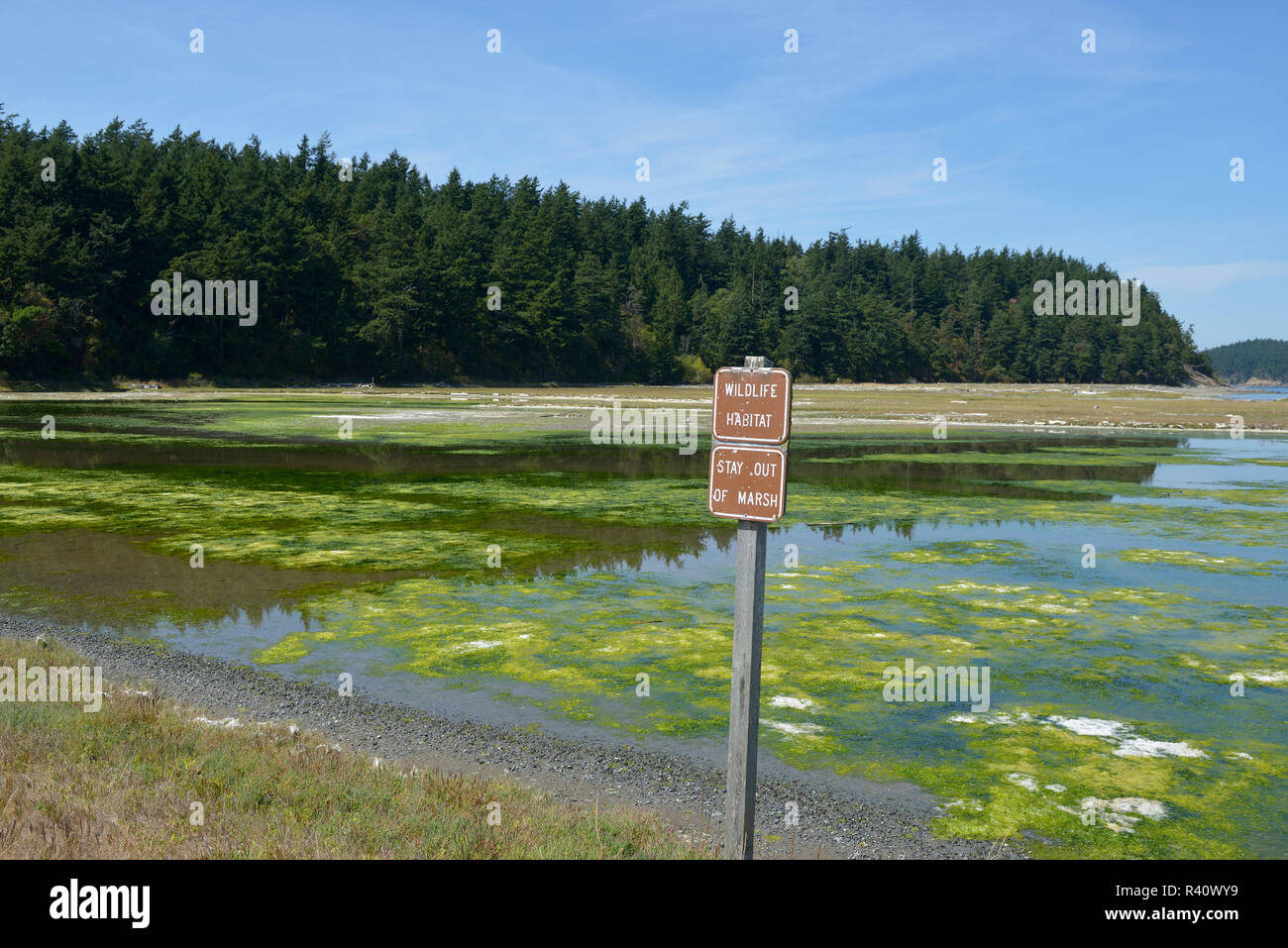 Stati Uniti d'America, nello Stato di Washington. Le Isole San Juan, Lopez Island. Habitat per la flora e la fauna - soggiorno al di fuori del segno di palude di fronte alla palude. Spencer Spit Foto Stock