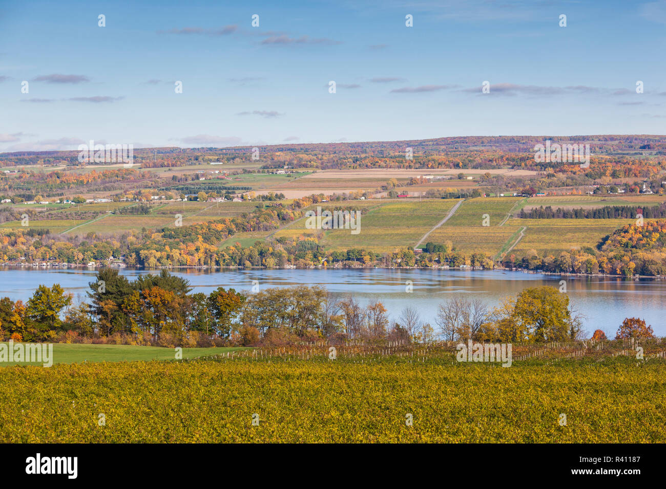 Stati Uniti d'America, New York, Regione dei Laghi Finger, Dundee, dal Lago Seneca vista in elevazione, autunno Foto Stock