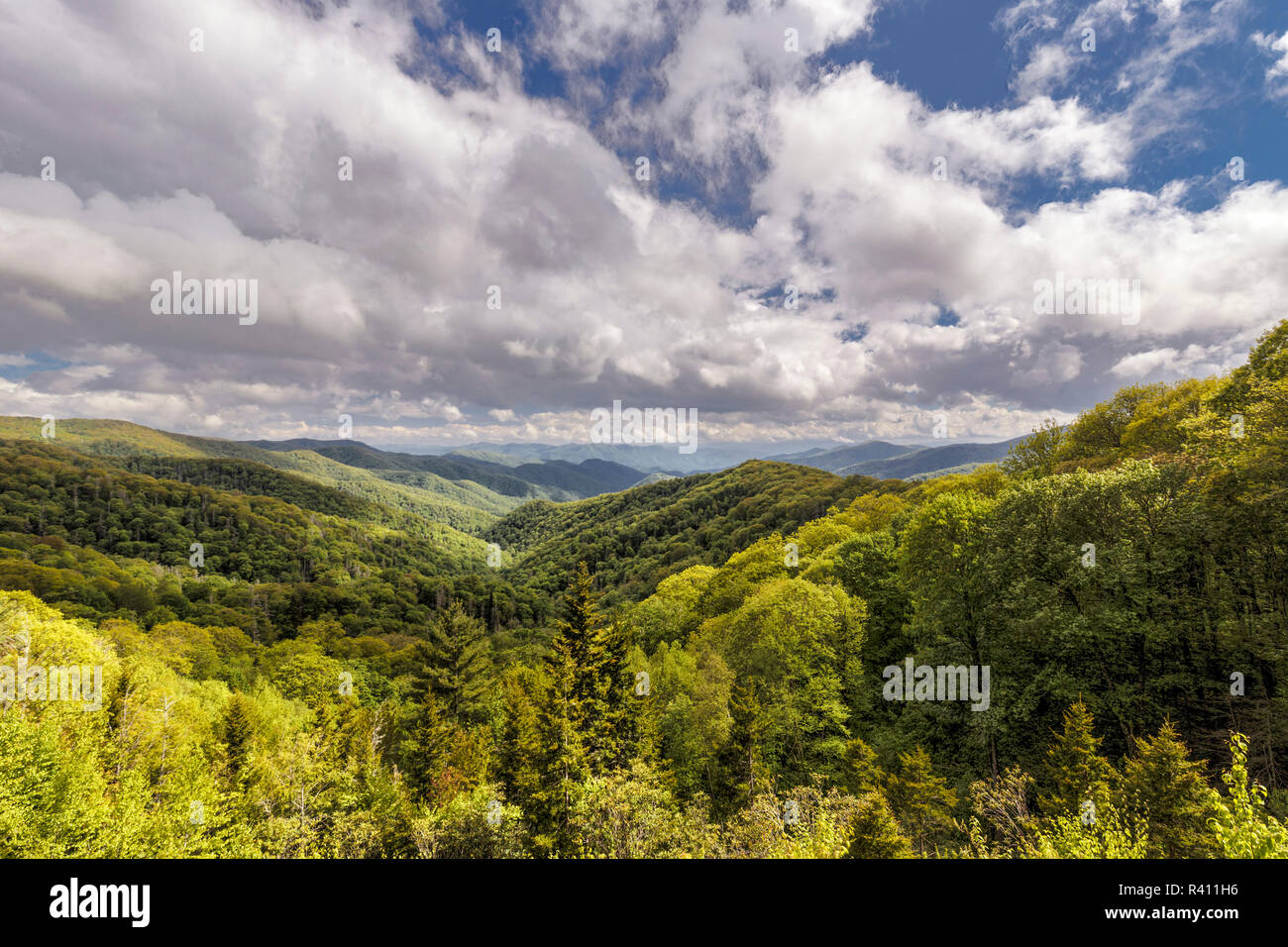 Vista di Deep Creek in primavera, Great Smoky Mountains National Park, North Carolina Foto Stock