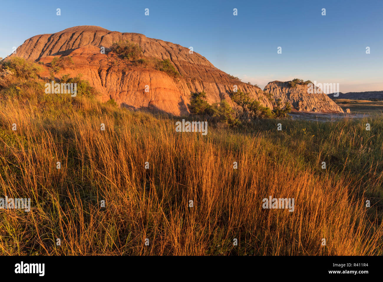 Poco bluestem erbe e badlands nel Parco nazionale Theodore Roosevelt, il Dakota del Nord, STATI UNITI D'AMERICA Foto Stock