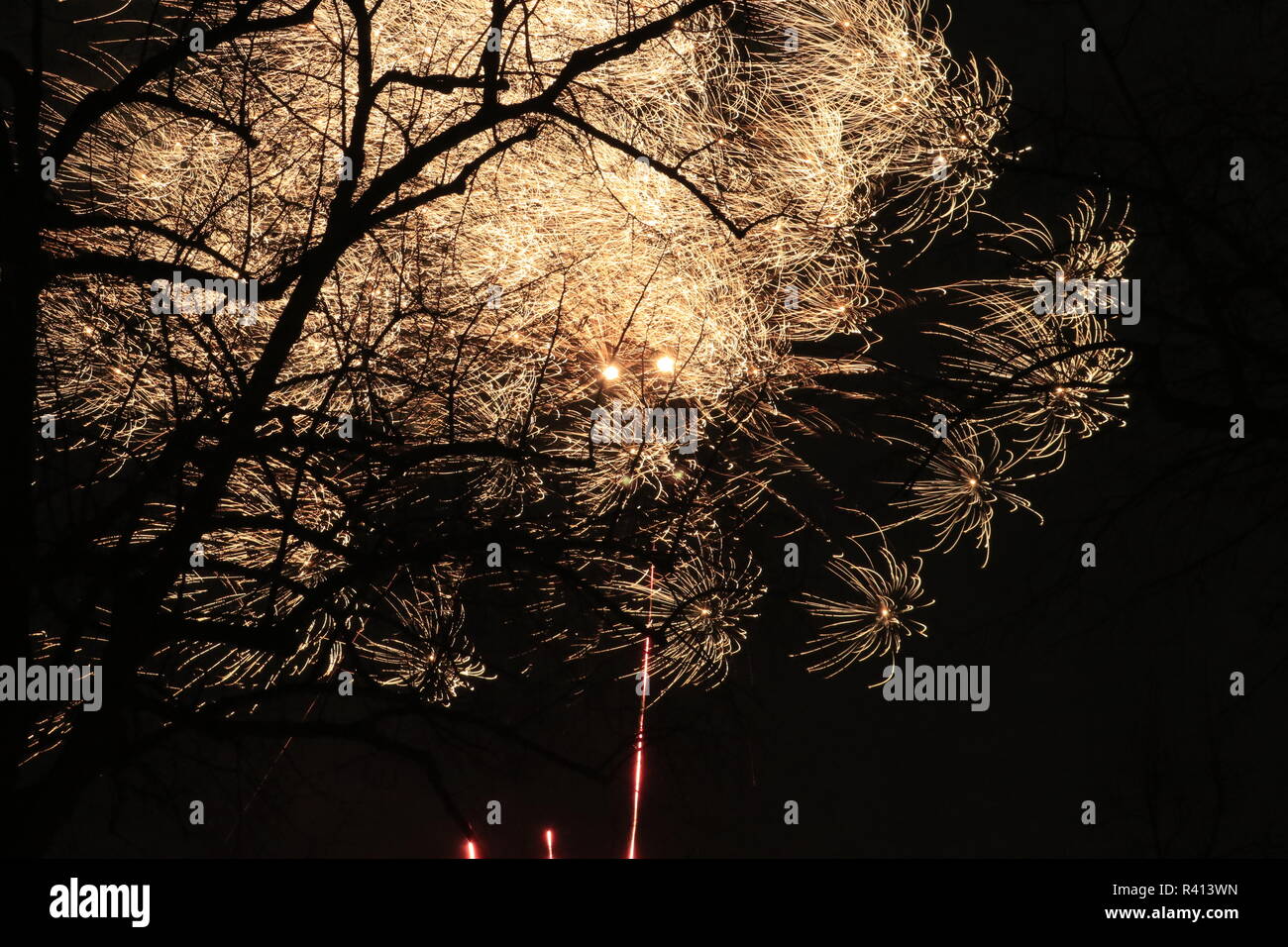 Silvester Sylvester Raketen Leuchtfeuer hinter einem Baum Foto Stock