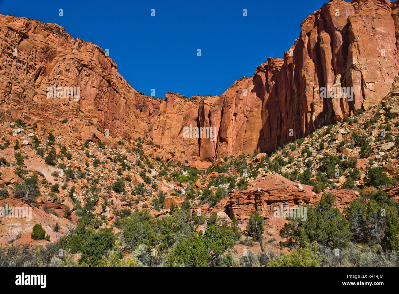 Stati Uniti d'America, Utah, Boulder. Burr Trail Road Foto Stock