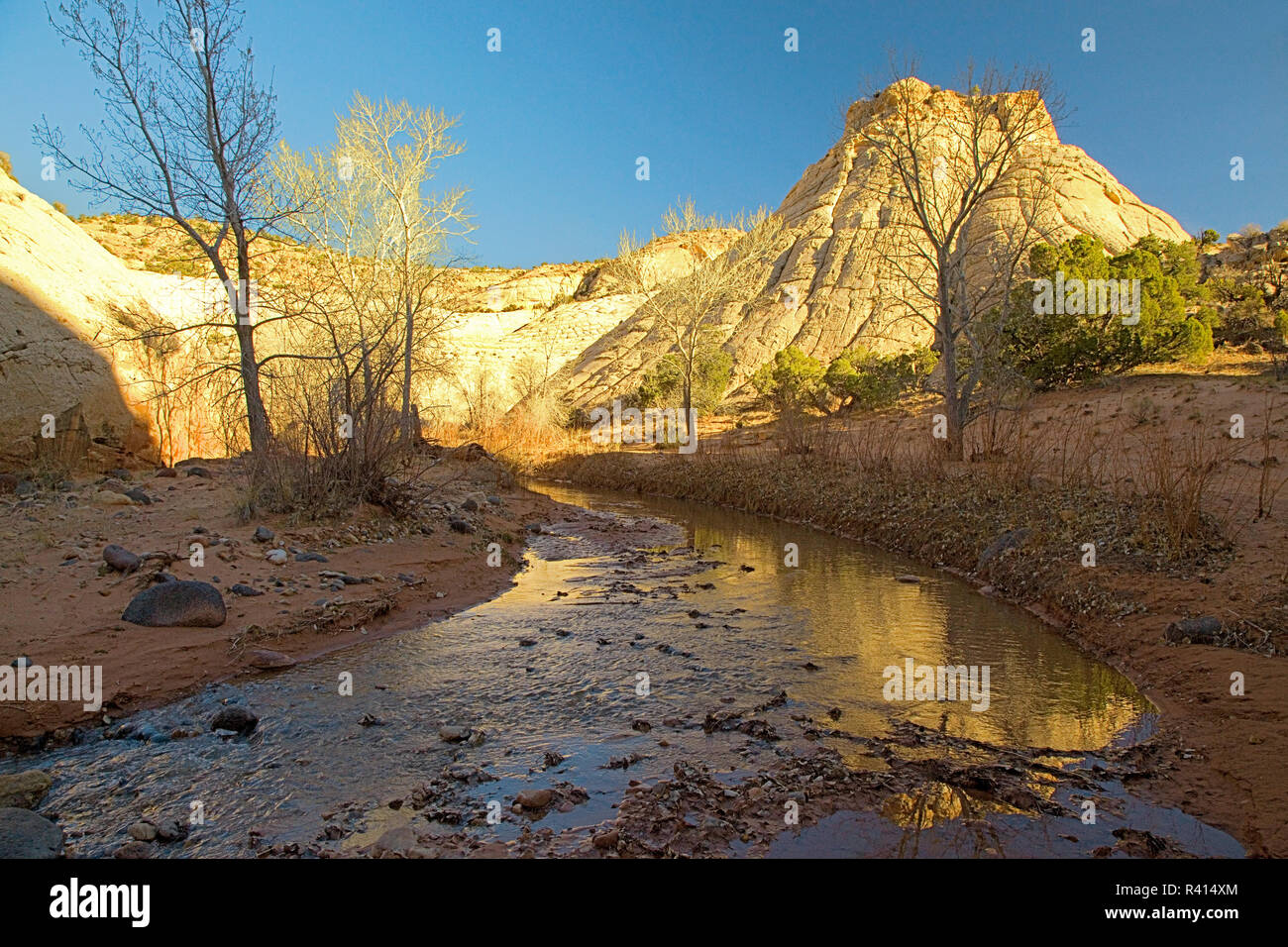 Stati Uniti d'America, Utah, parco nazionale di Capitol Reef, piacevole Creek Foto Stock