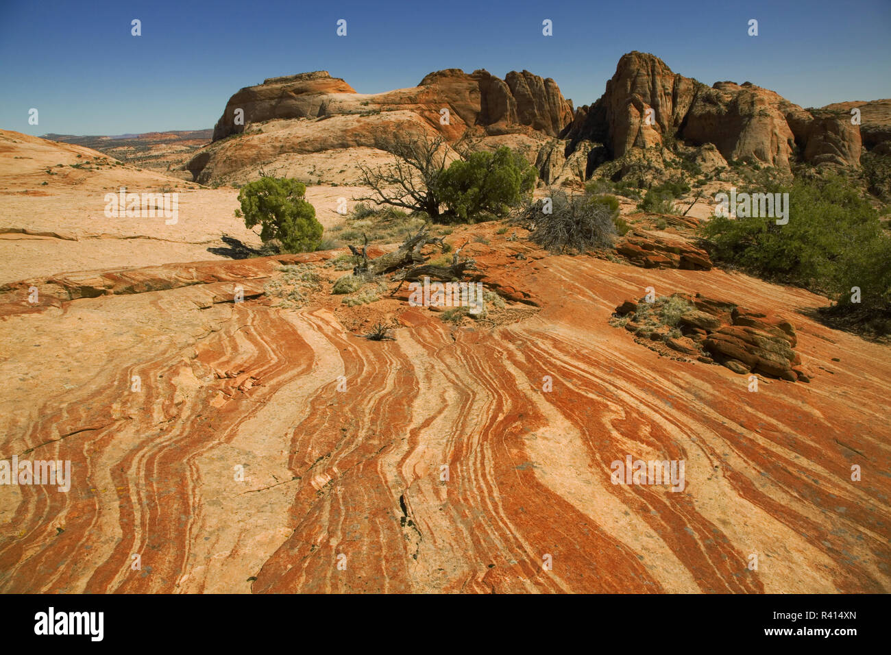 Stati Uniti d'America, Utah, Grand Staircase-Escalante monumento nazionale, arenaria Foto Stock