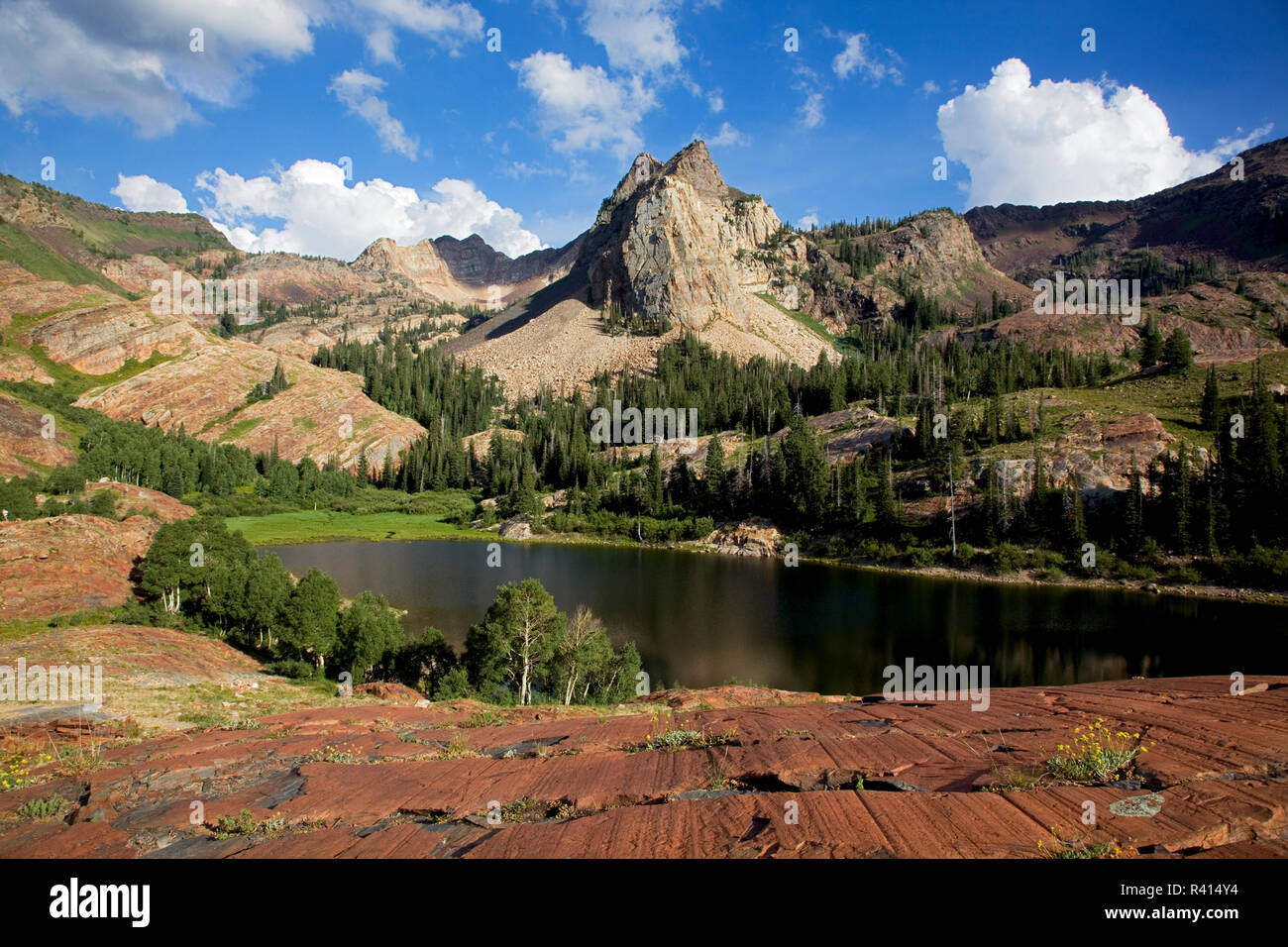 Stati Uniti d'America, Utah, Uinta-Wasatch-Cache National Forest, Twin Peaks deserto, Lago Blanche Foto Stock