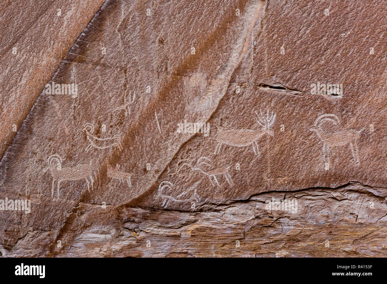 Incisioni rupestri, San Rafael Swell, Utah Foto Stock