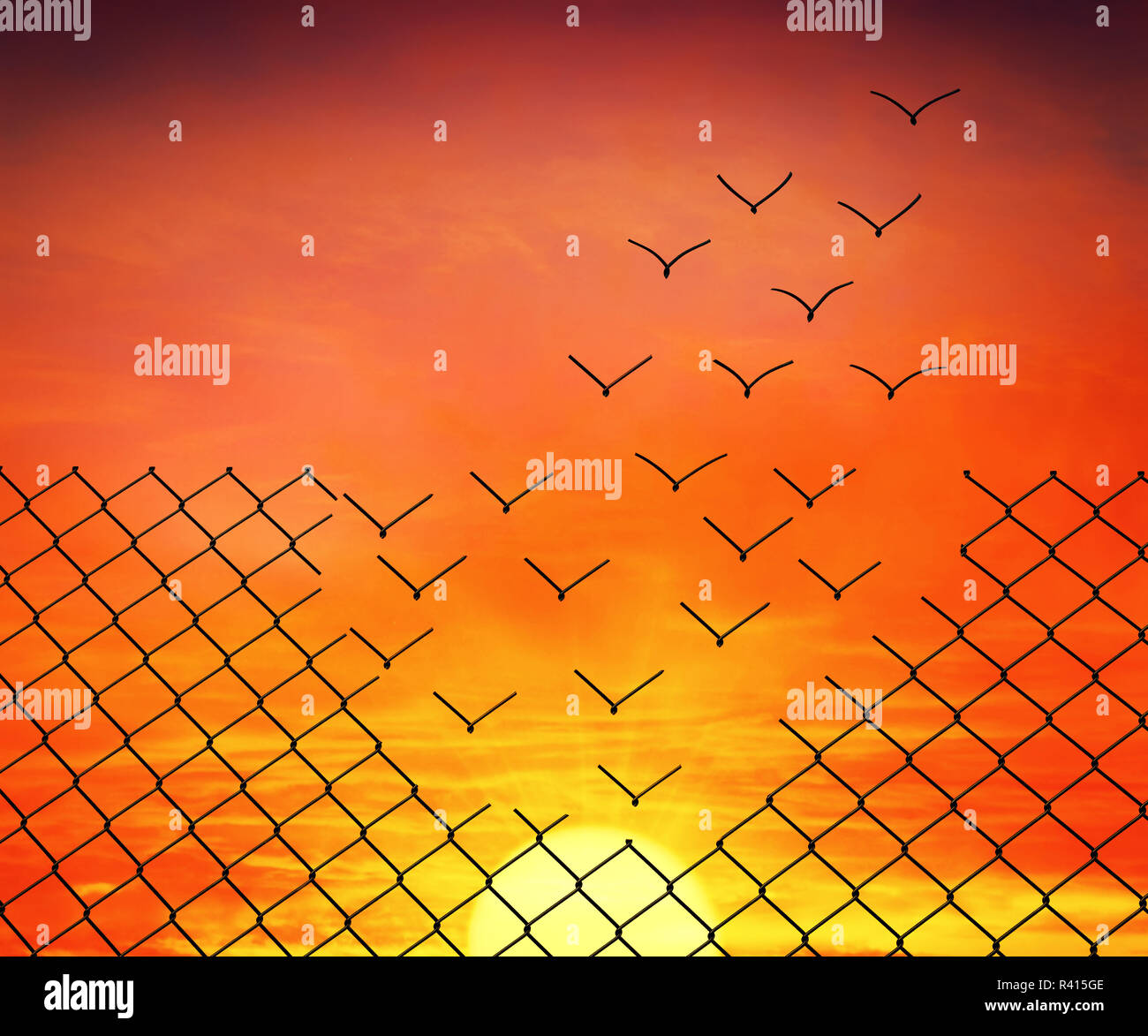 Rete metallica si trasformano in uccelli in volo sul Cielo di tramonto sullo sfondo Foto Stock