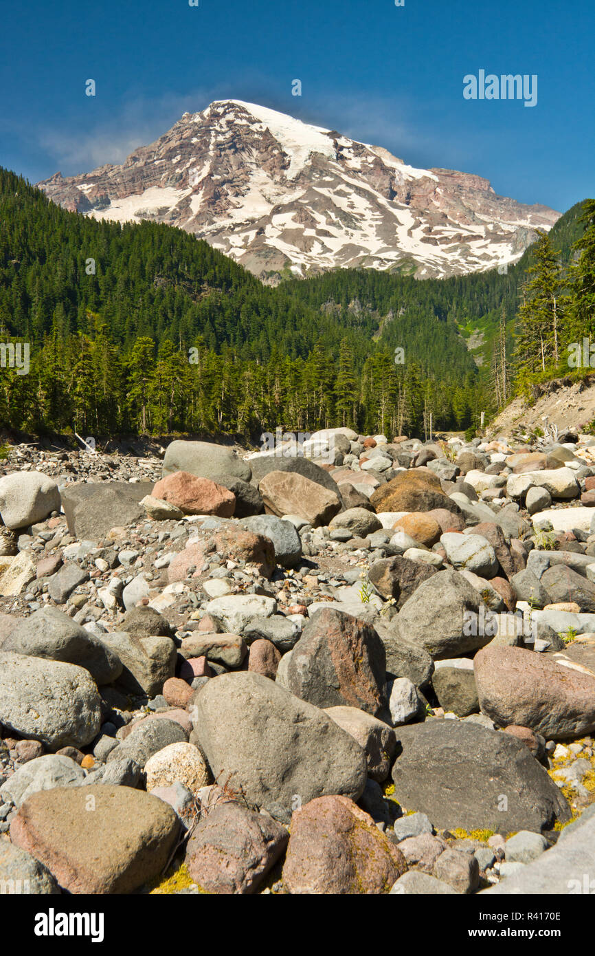 Il Monte Rainier, Nisqually Area fluviale, il Parco Nazionale del Monte Rainier, nello Stato di Washington, USA Foto Stock