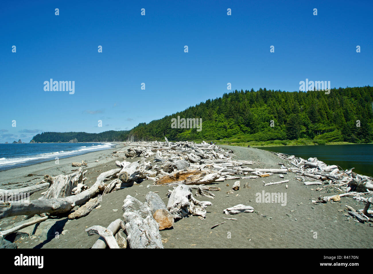 Stati Uniti d'America, nello Stato di Washington. Penisola Olimpica, Rialto Beach, Quillayute fiume sulla destra Foto Stock