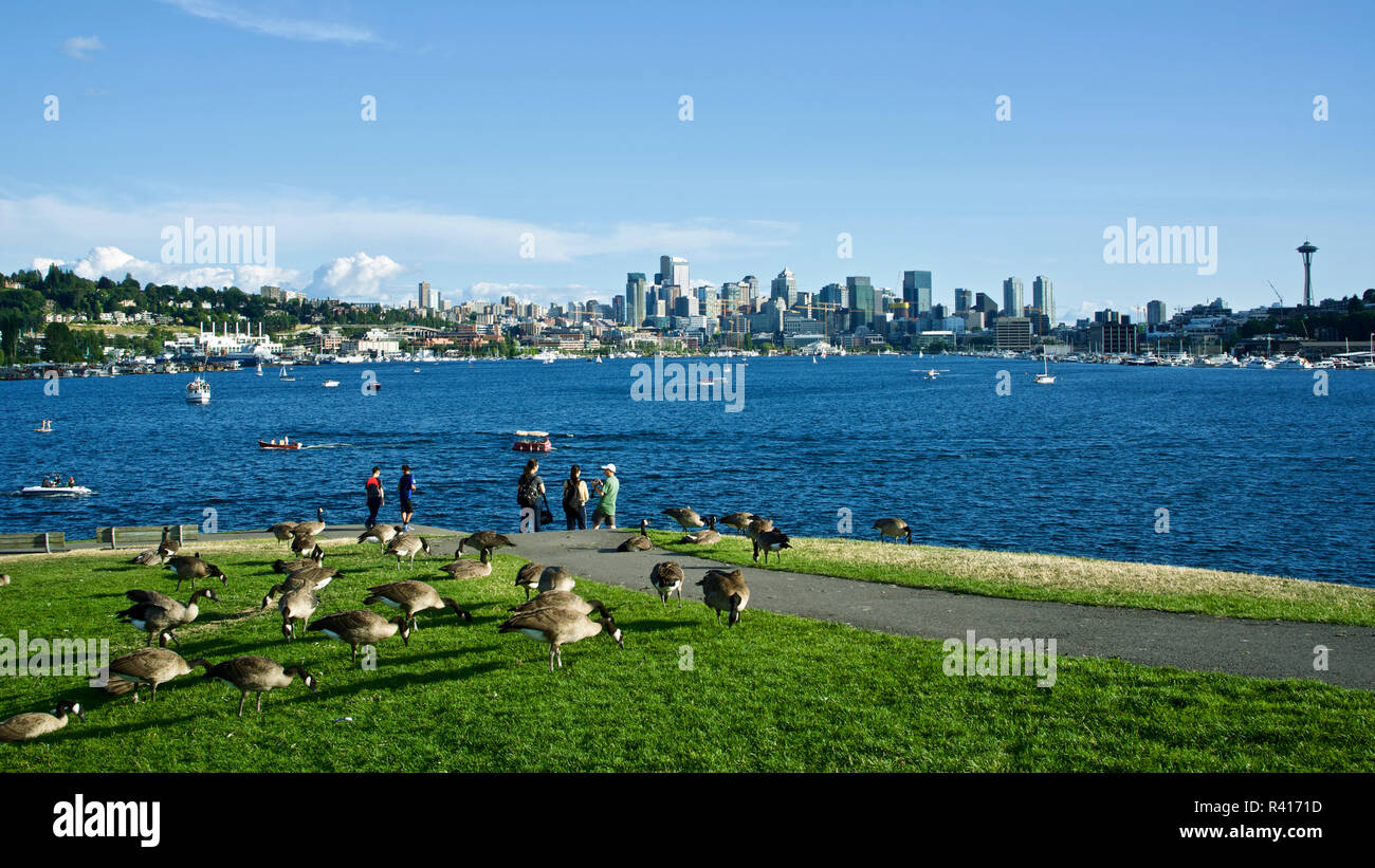 Stati Uniti d'America, nello Stato di Washington, Seattle. Il Lago Union e il centro cittadino di vista da lavori Gas Park Foto Stock