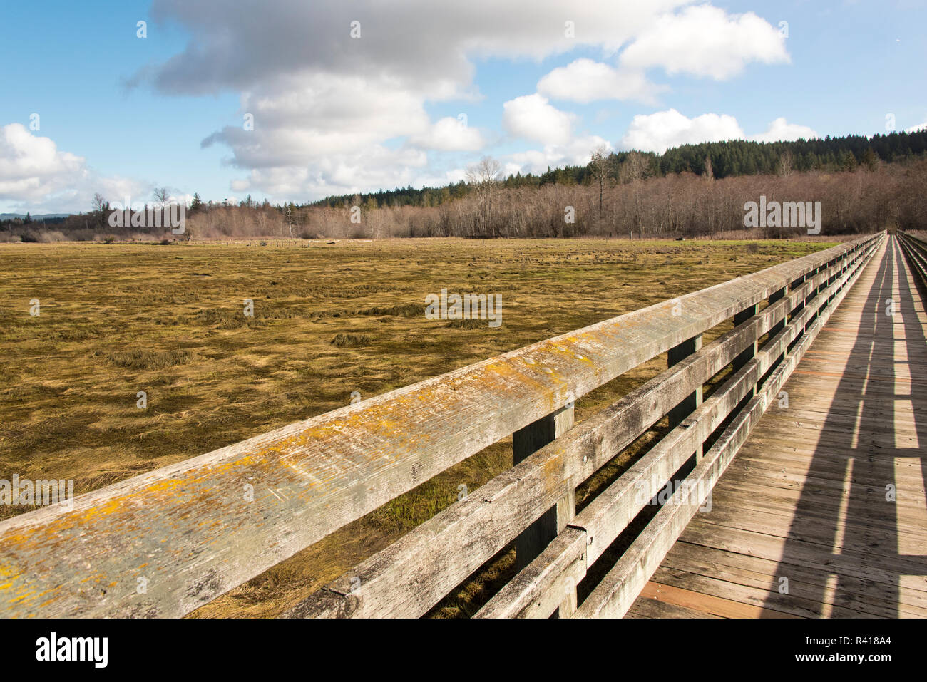 Stati Uniti d'America, nello Stato di Washington, Belfair. Zone Umide Theler Nature Preserve. Il cofano Canal, Unione River Foto Stock