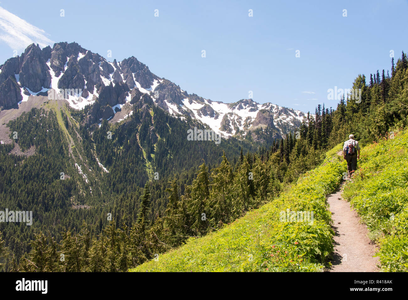 Stati Uniti d'America, nello Stato di Washington, Montagne Olimpiche escursionista sul sentiero di marmotta Pass, Buckhorn deserto Olympic National Forest. (MR) Foto Stock