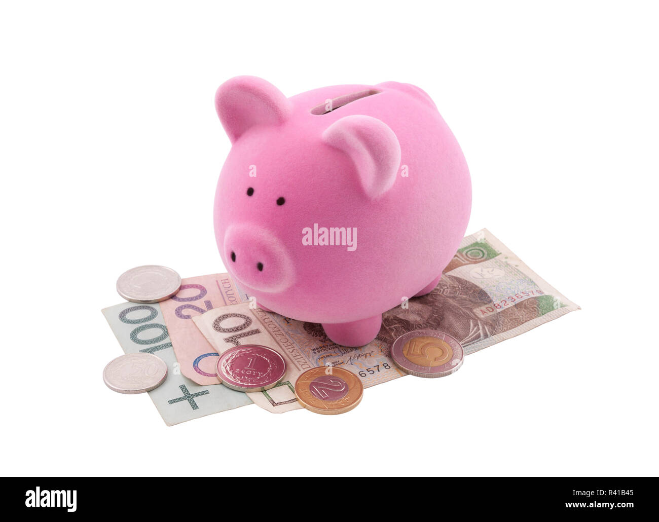 Salvadanaio sul polacco di banconote. Percorso di clipping incluso. Foto Stock