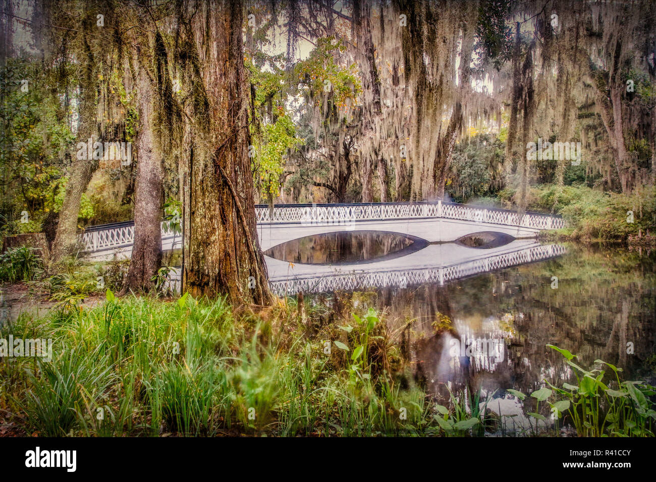 Stati Uniti d'America, Charleston, Magnolia Plantation, ponte bianco e la sua riflessione Foto Stock