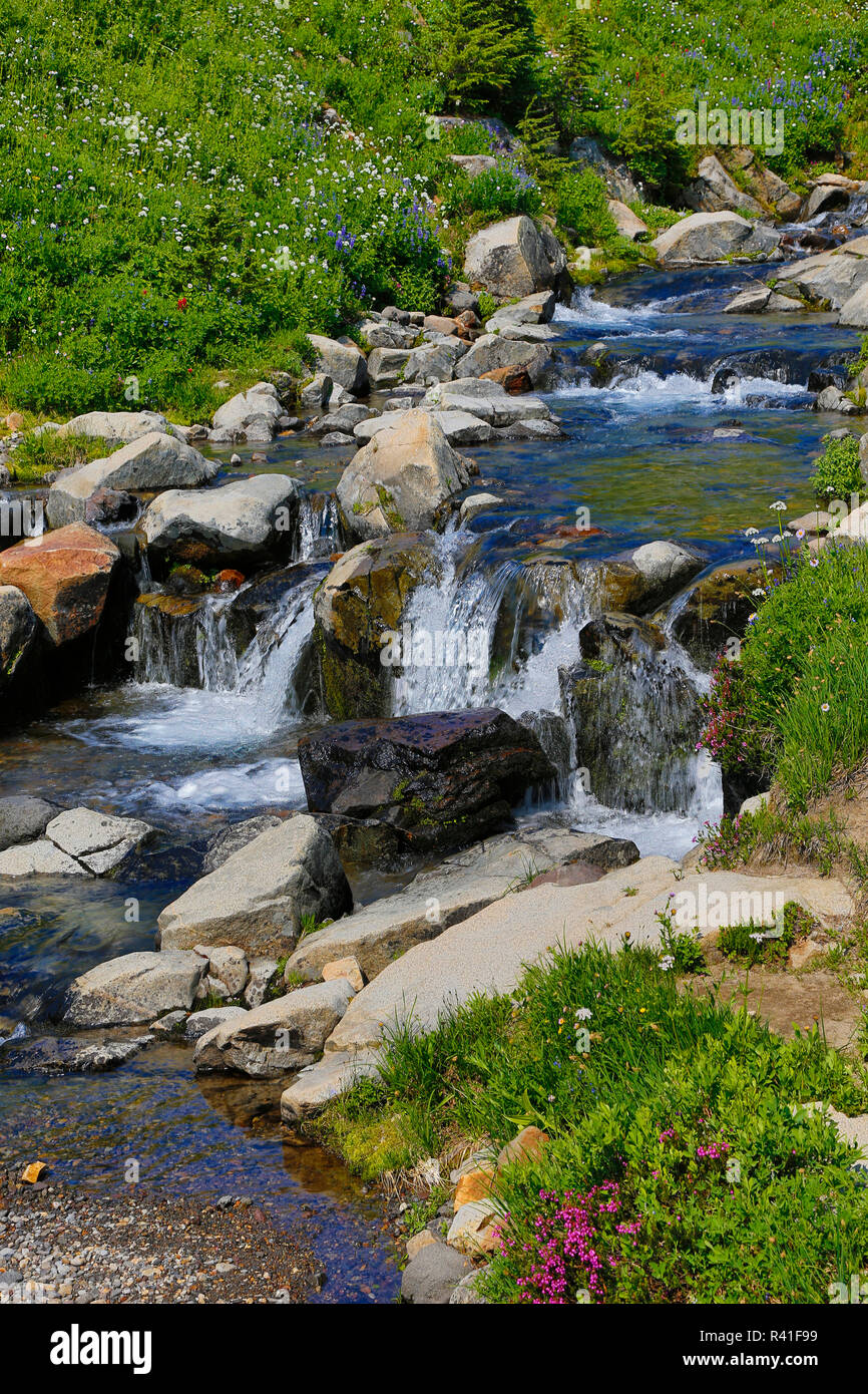 Stati Uniti d'America, nello Stato di Washington, il Parco Nazionale del Monte Rainier. Edith Creek cascata. Foto Stock