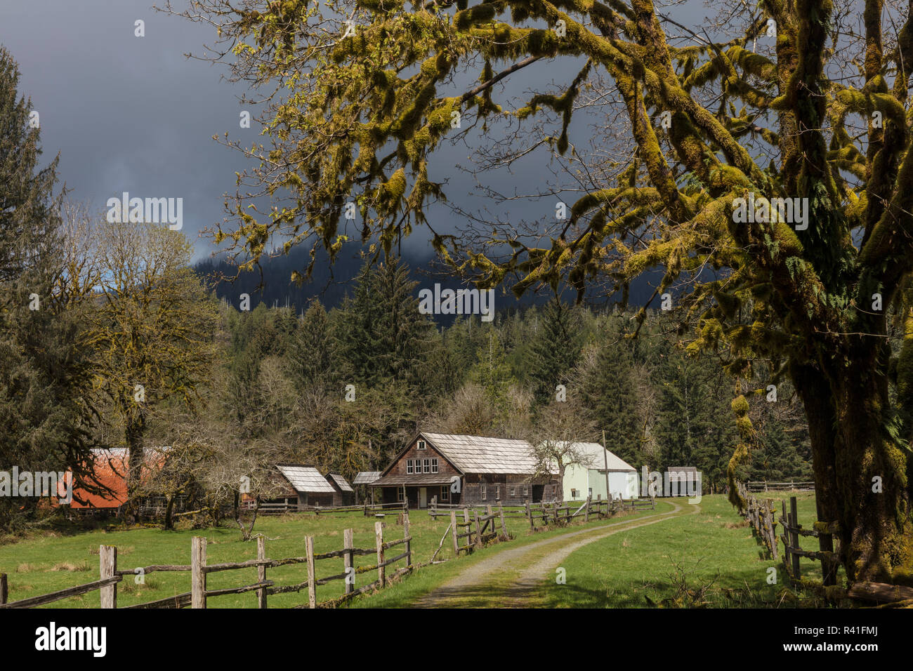 Kestner Homestead Agriturismo nel Parco Nazionale di Olympic, nello Stato di Washington, USA Foto Stock