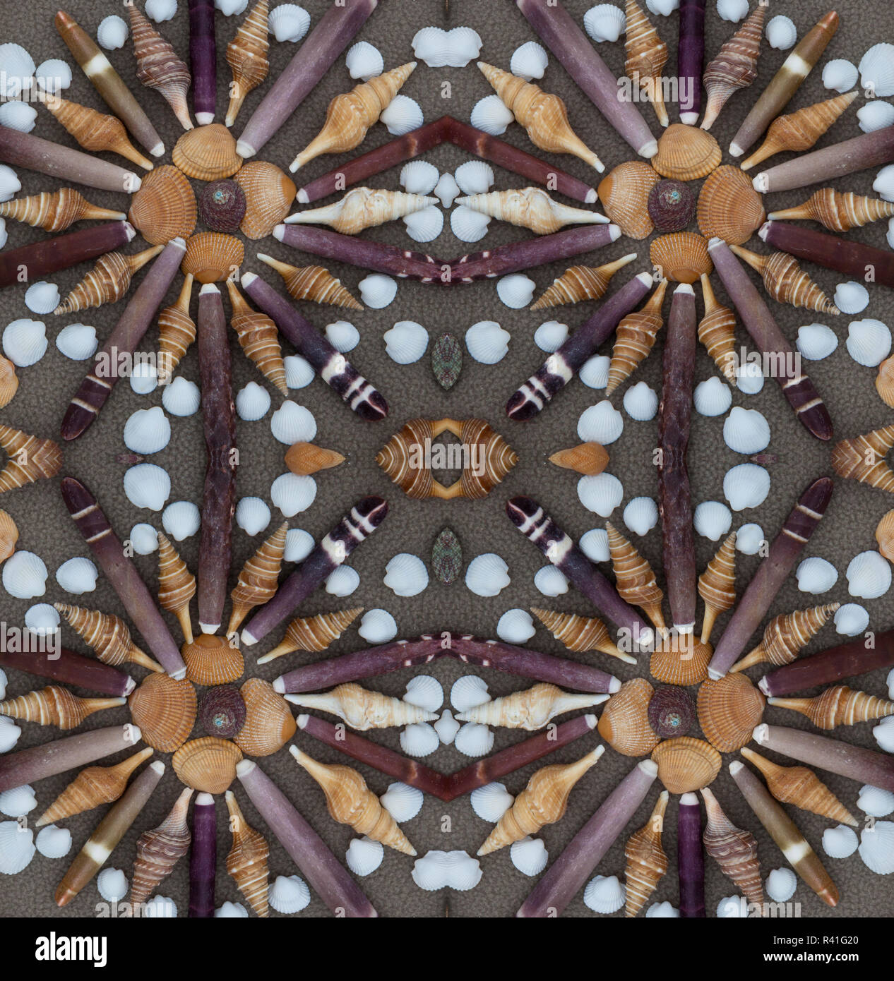 Composito Digitale di conchiglie marine nel design circolare Foto Stock