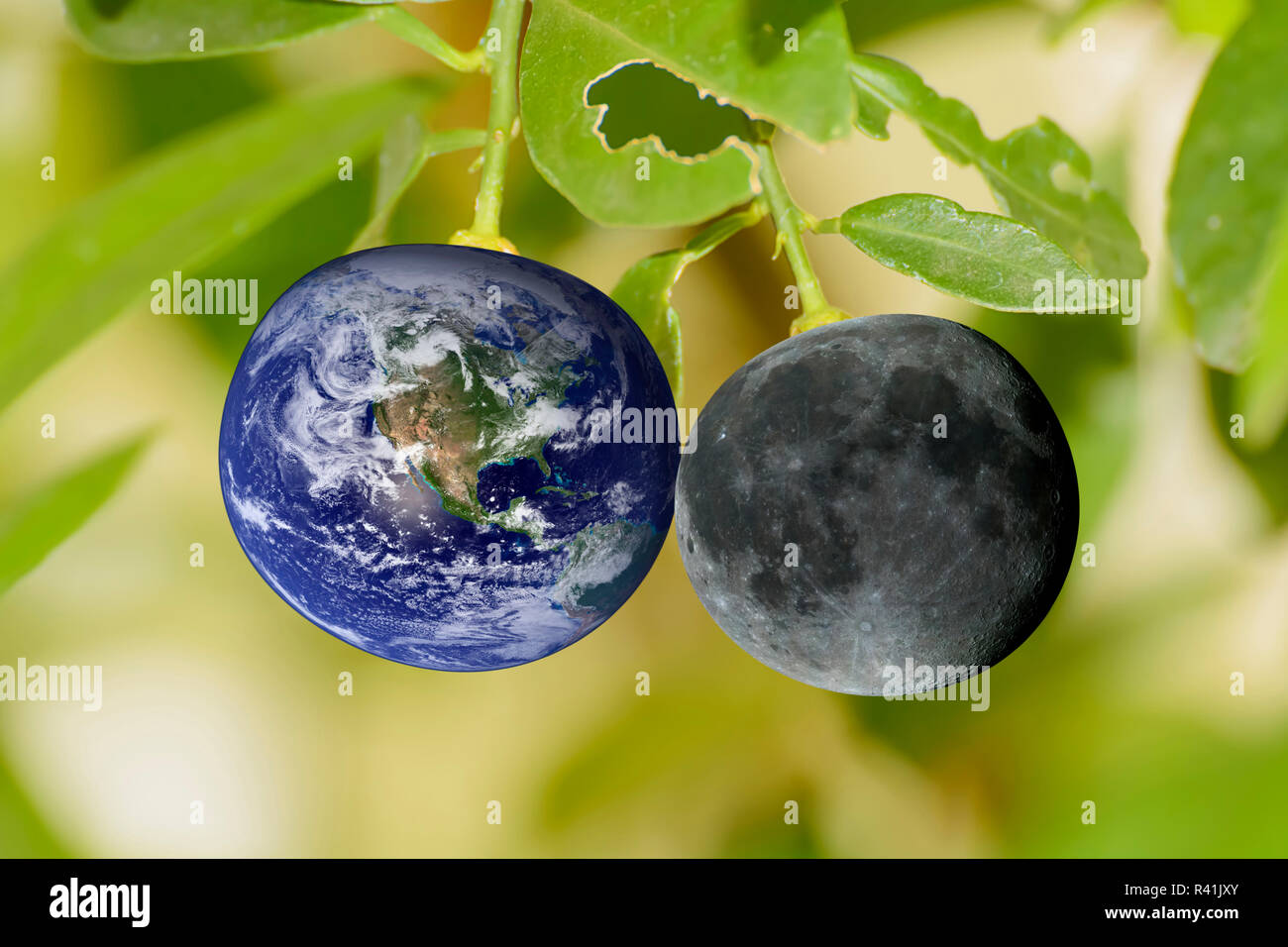 Il mondo e la luna in arancione Foto Stock