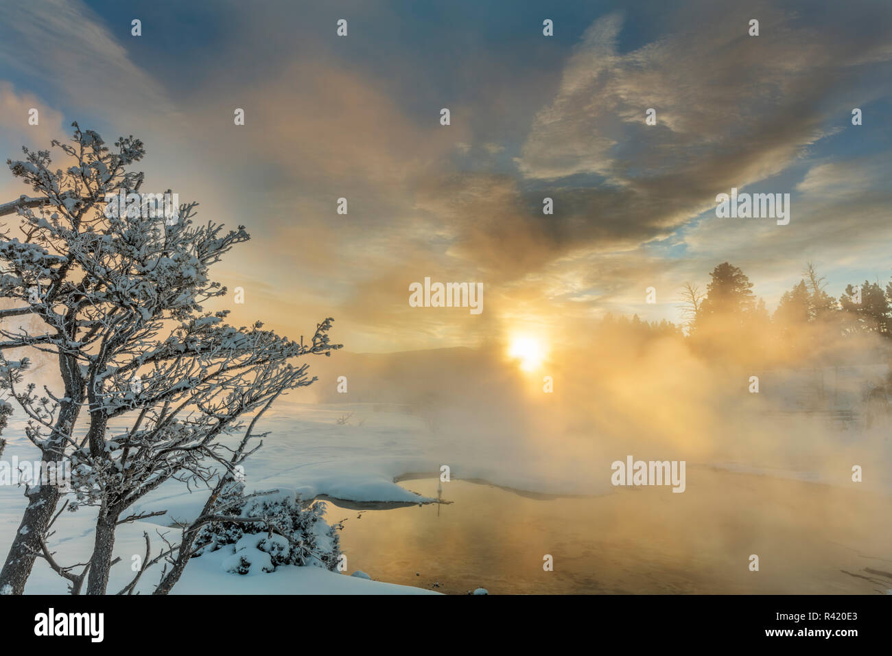 Sunrise saluta molla erbose a Mammoth Hot Springs nel Parco Nazionale di Yellowstone, Wyoming USA Foto Stock