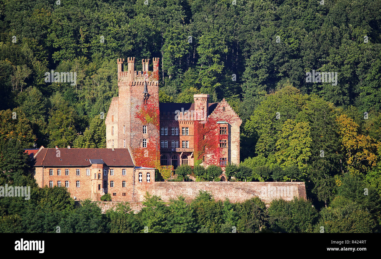 Mittelburg nelle quattro città castello neckarsteinach Foto Stock