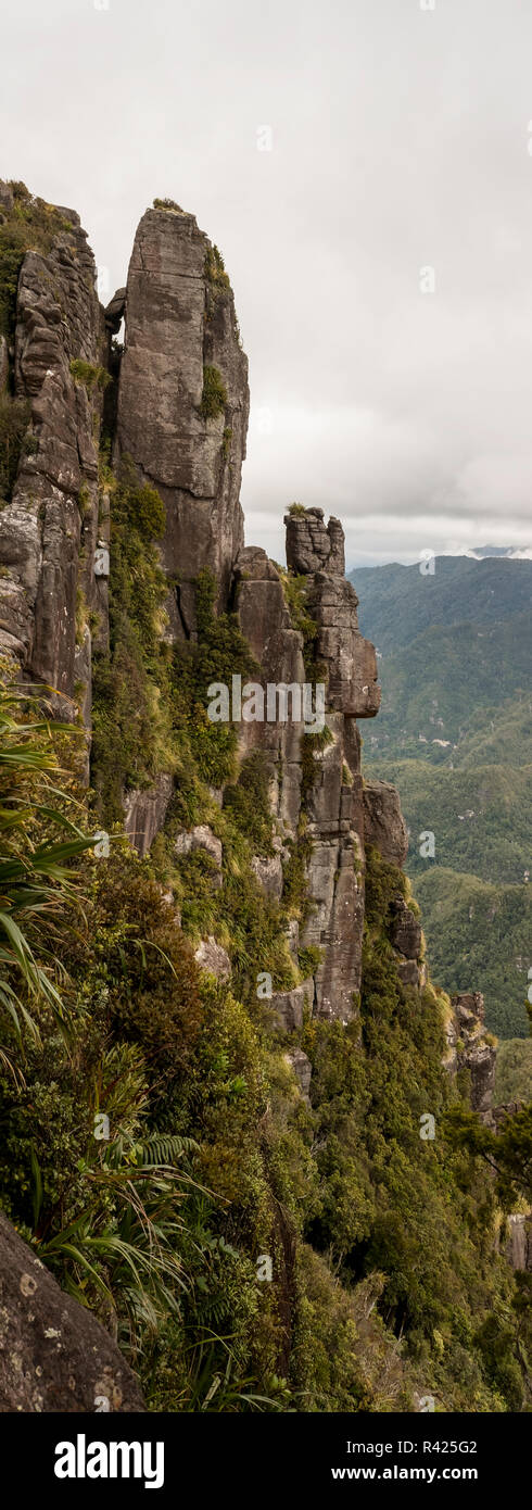 Picchi acuti sul sentiero dei Pinnacoli in Nuova Zelanda, Coromandel vicino Auckland Foto Stock