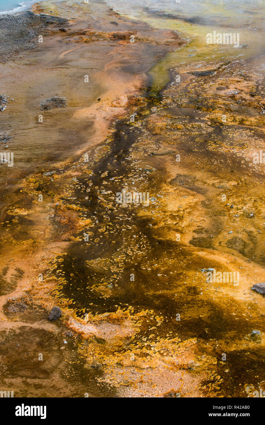 Stati Uniti d'America, Wyoming. Steamy run-off e batteri matt di Silex molle, abbassare Geyser Basin, il Parco Nazionale di Yellowstone. Foto Stock