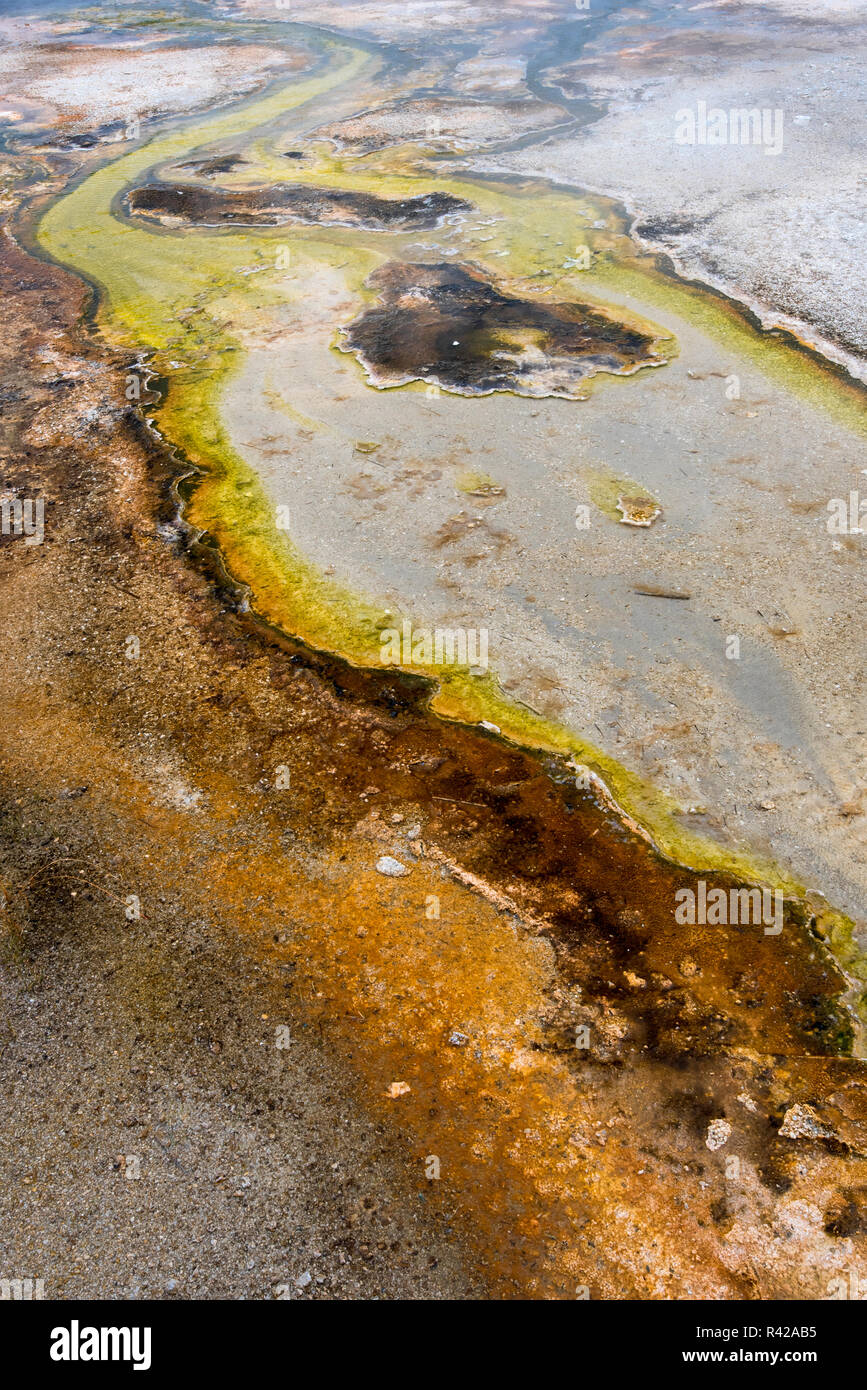 Stati Uniti d'America, Wyoming. Energia geotermica run-off riempito con colorate crescite termofile, sabbia nera bacino, il Parco Nazionale di Yellowstone. Foto Stock