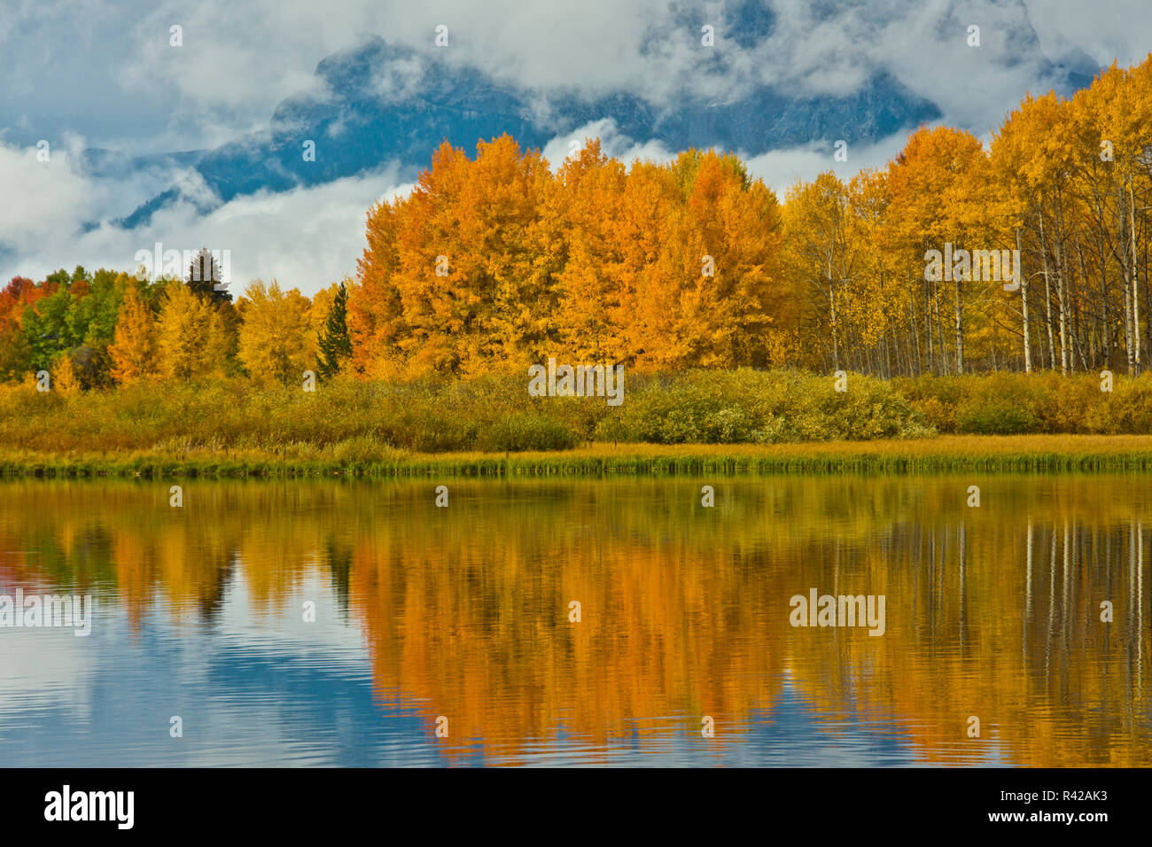 Autunno a lanca, Grand Teton National Park, Wyoming USA Foto Stock