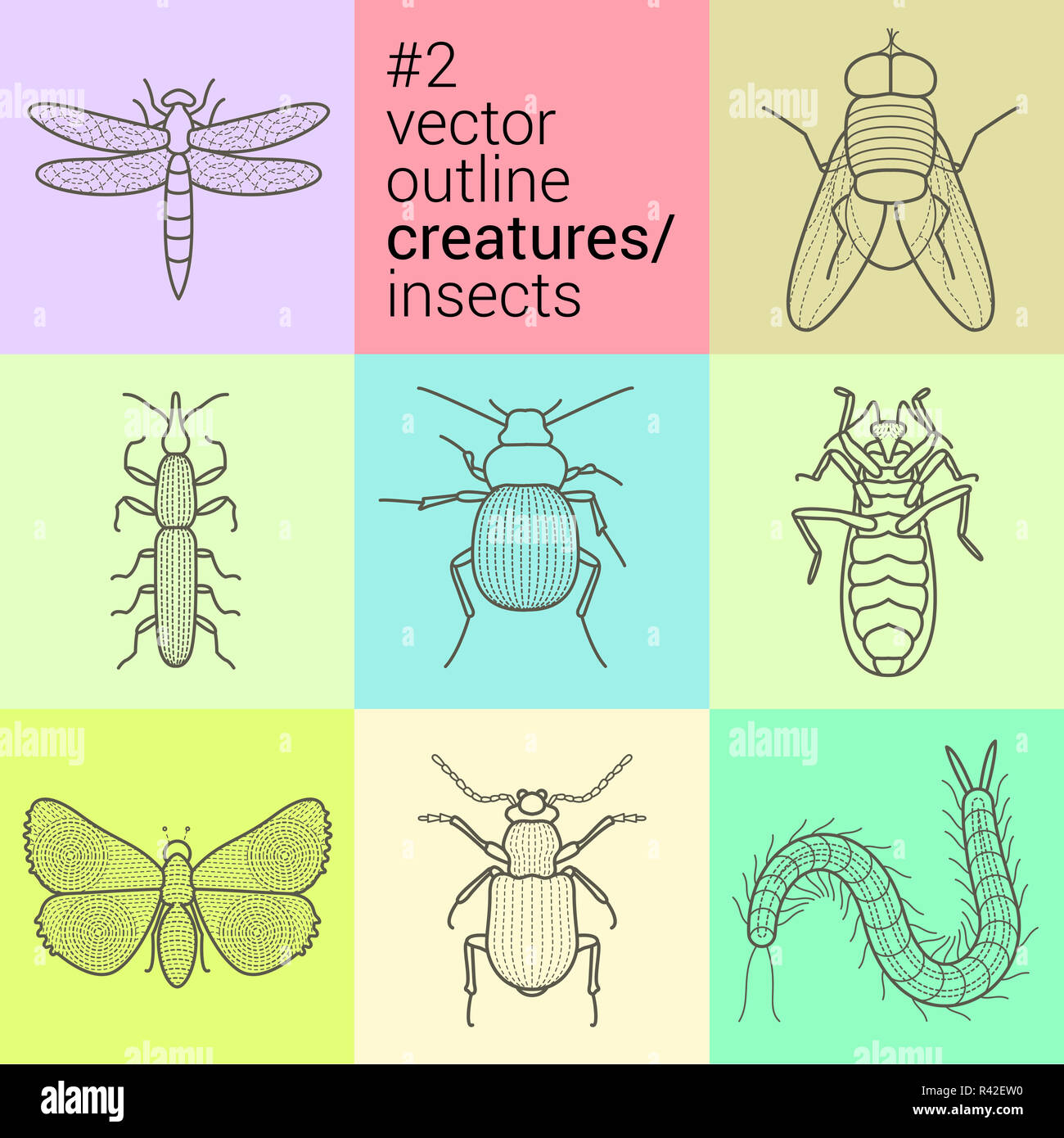 Impostare contorno, planimetrici, contorno, insetti vettori icone raccolta eps kit creature Foto Stock