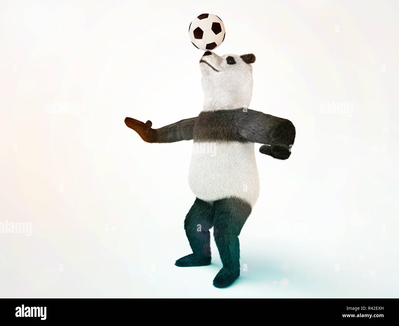 Carattere di bambù di circo orso panda gigante in piedi gambe di diffusione ai lati a caccia di una palla sul suo naso involontari splendidi animali Foto Stock