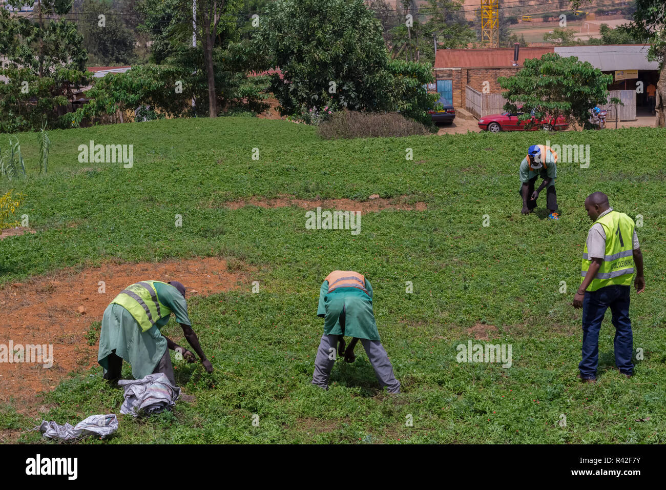 Il Kigali, Ruanda - OTTOBRE 23,2017: Kiyovu quattro giardinieri locali prendere cura del prato tra due grandi edifici per uffici su KN 3 Road. Foto Stock