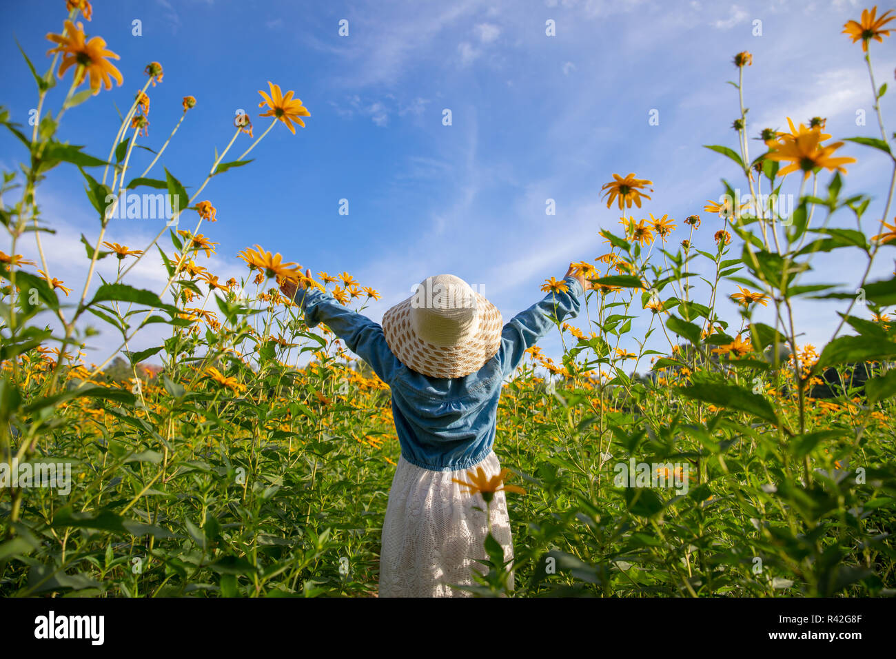 I bambini nel campo fiori gialli giallo. Ragazza olandese nel cappello bianco Foto Stock