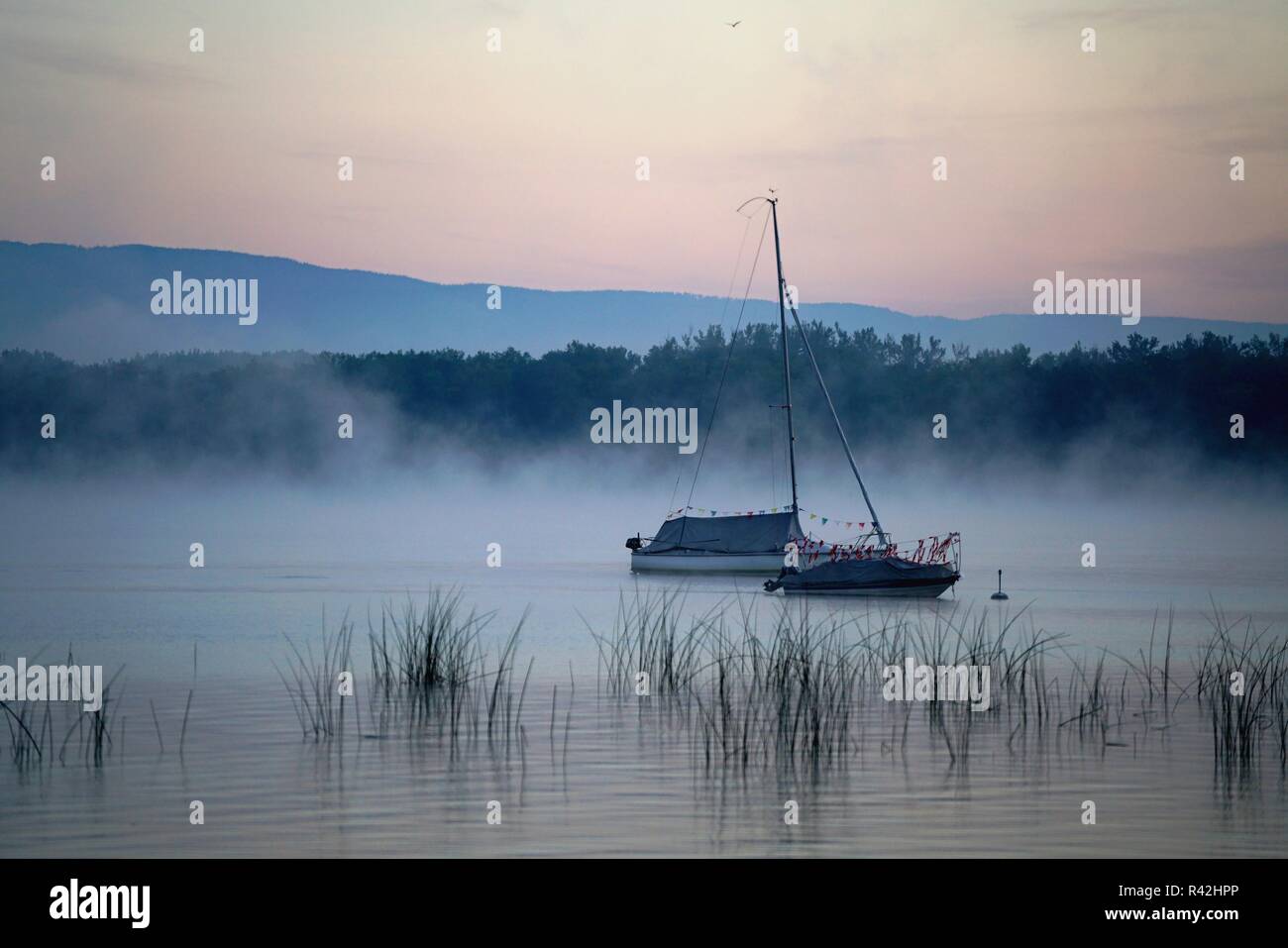 Atmosfera mattutina al lago di Morat Foto Stock