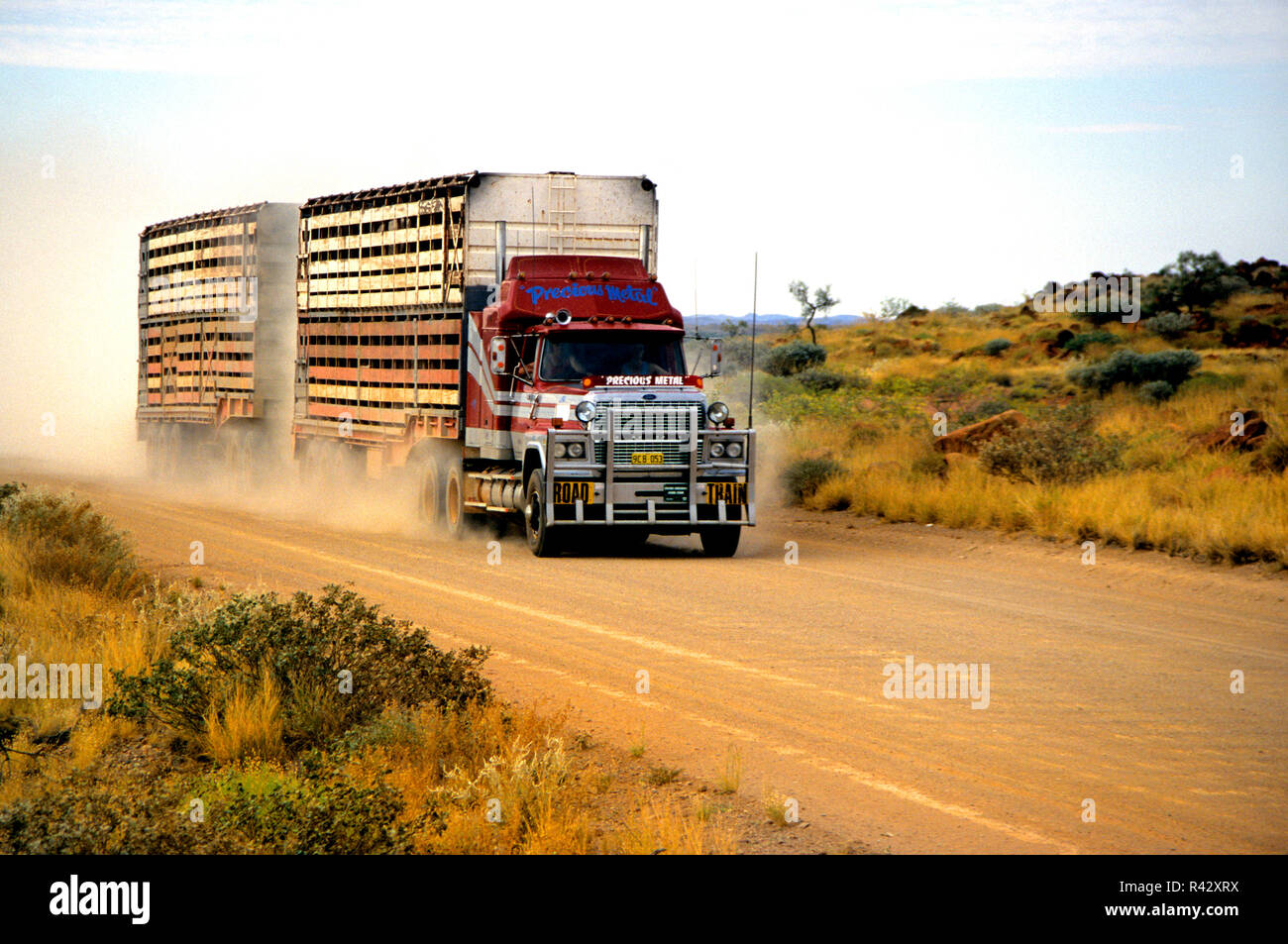 Il trasporto di bestiame su strada sul treno su strada sterrata in outback Australia Foto Stock