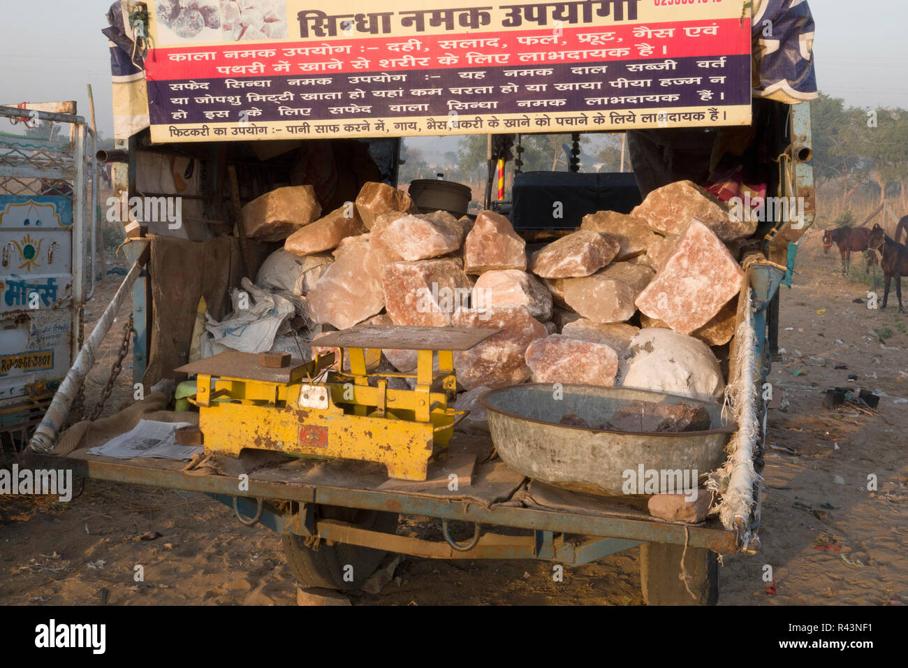 Grandi blocchi di rosa Himalayan rock salt out essendo venduto dal veicolo a Pushkar camel festival, Rajasthan, India Foto Stock