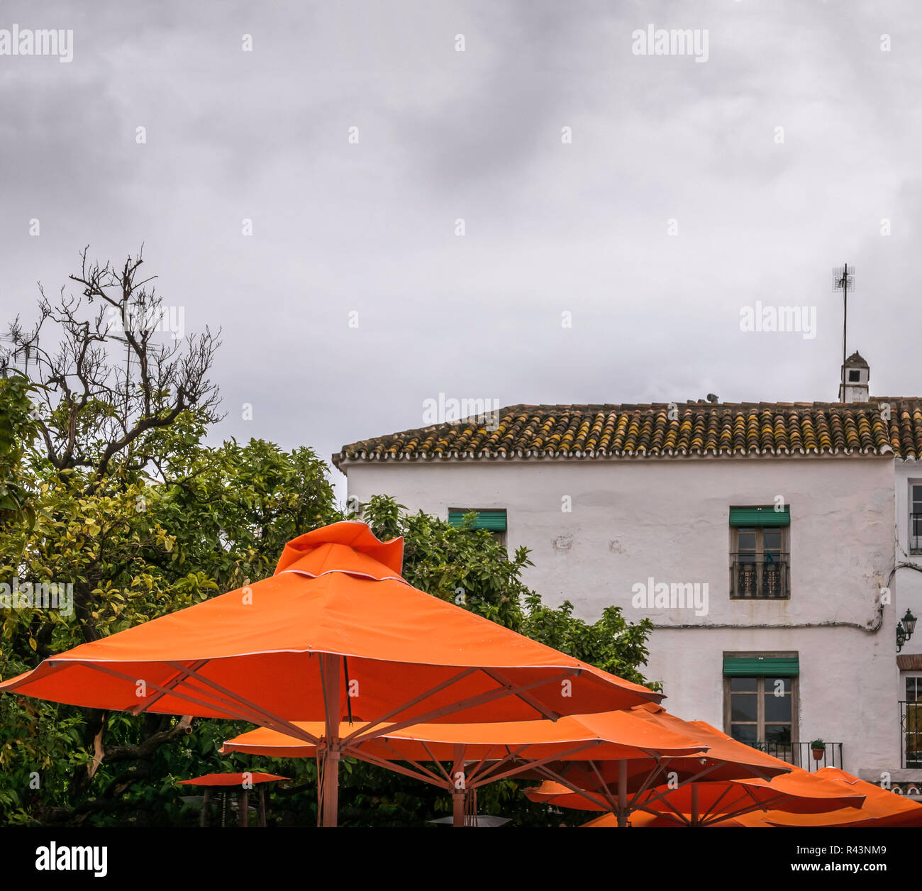 Una linea di colore arancione ombrelli in Plaza de los Naranjos, Marbella città vecchia, Spagna. Foto Stock