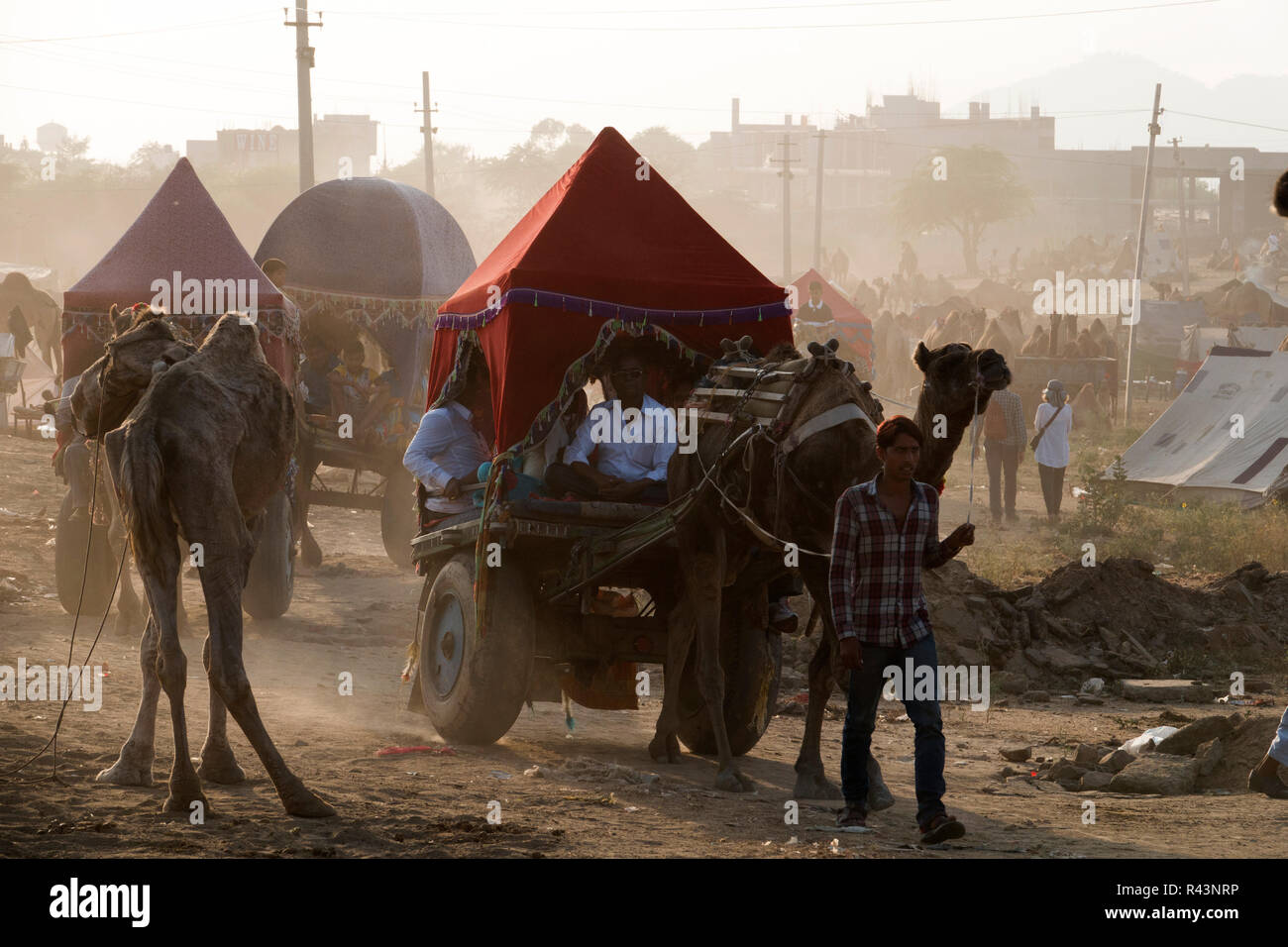 Scena al festival di bestiame Pushkar nel Rajasthan, India Foto Stock