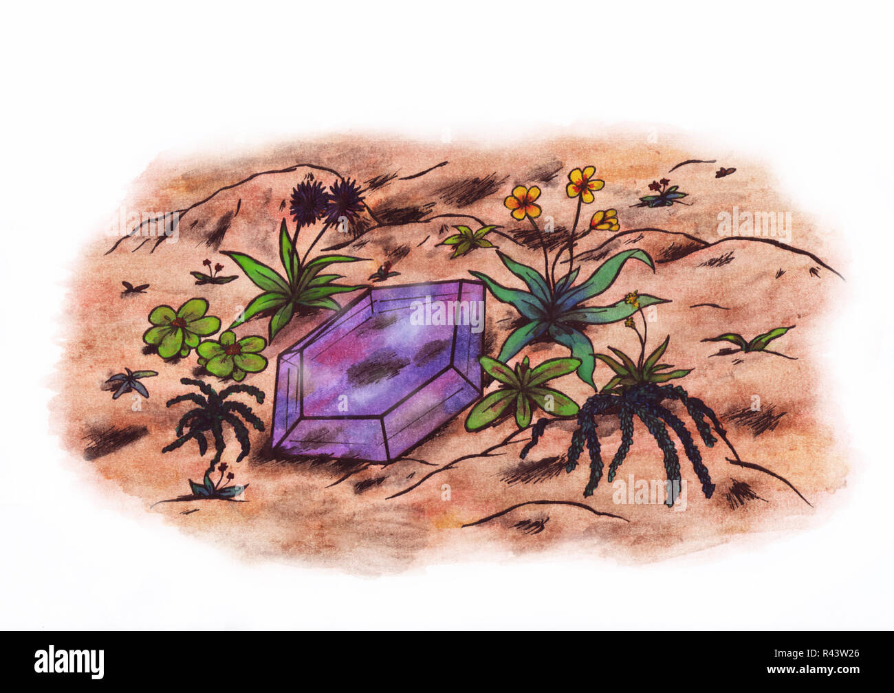 Una gemma violet giacente a terra e circondato da numerose piante Foto Stock